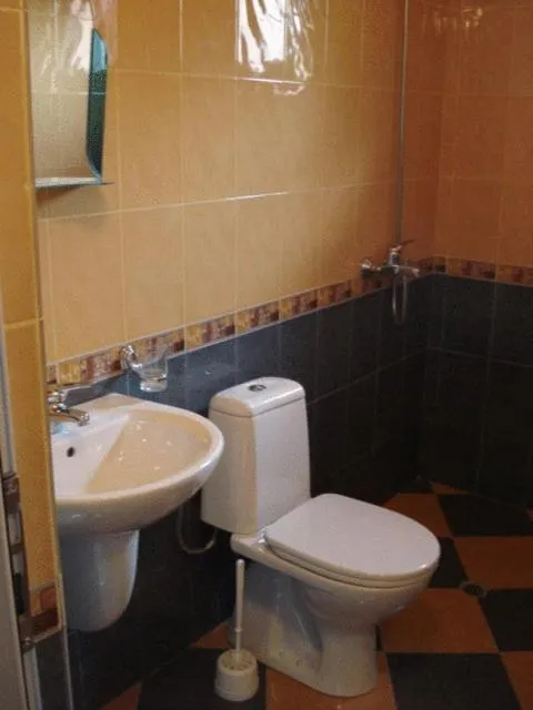Bathroom in Mavrikova Kushta