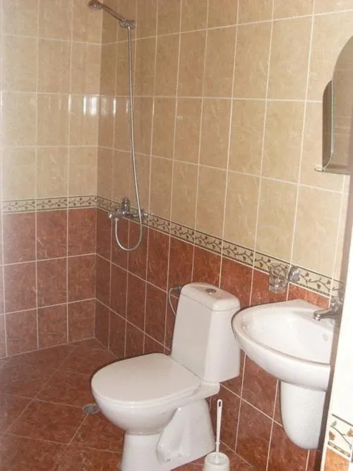 Bathroom in Mavrikova Kushta