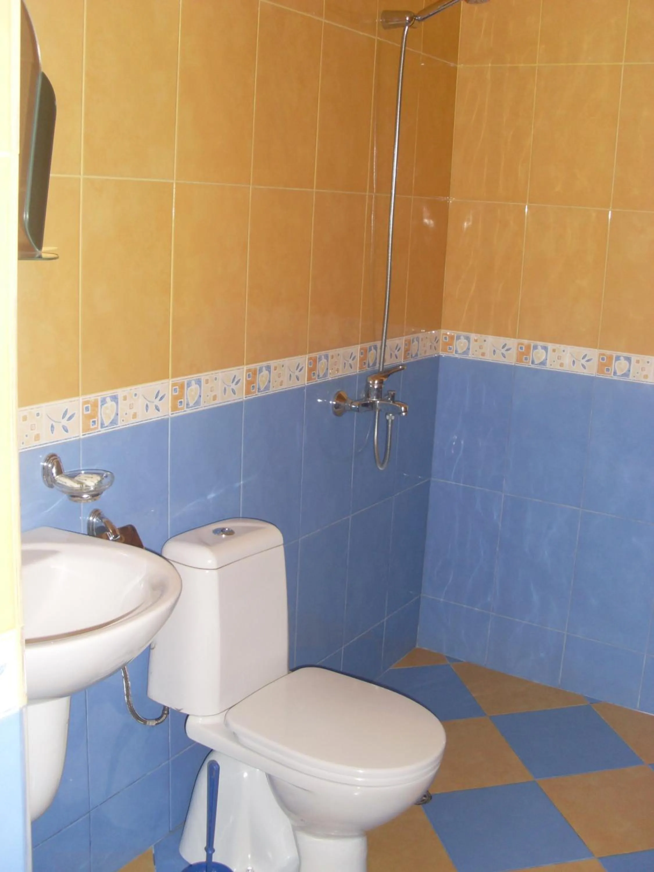 Bathroom in Mavrikova Kushta