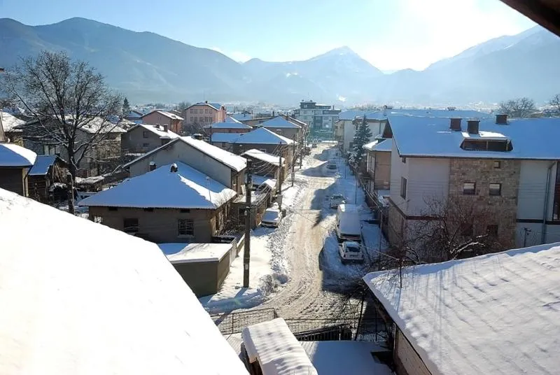 Winter in Mavrikova Kushta