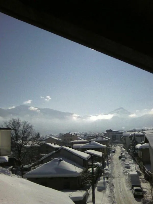 Winter in Mavrikova Kushta