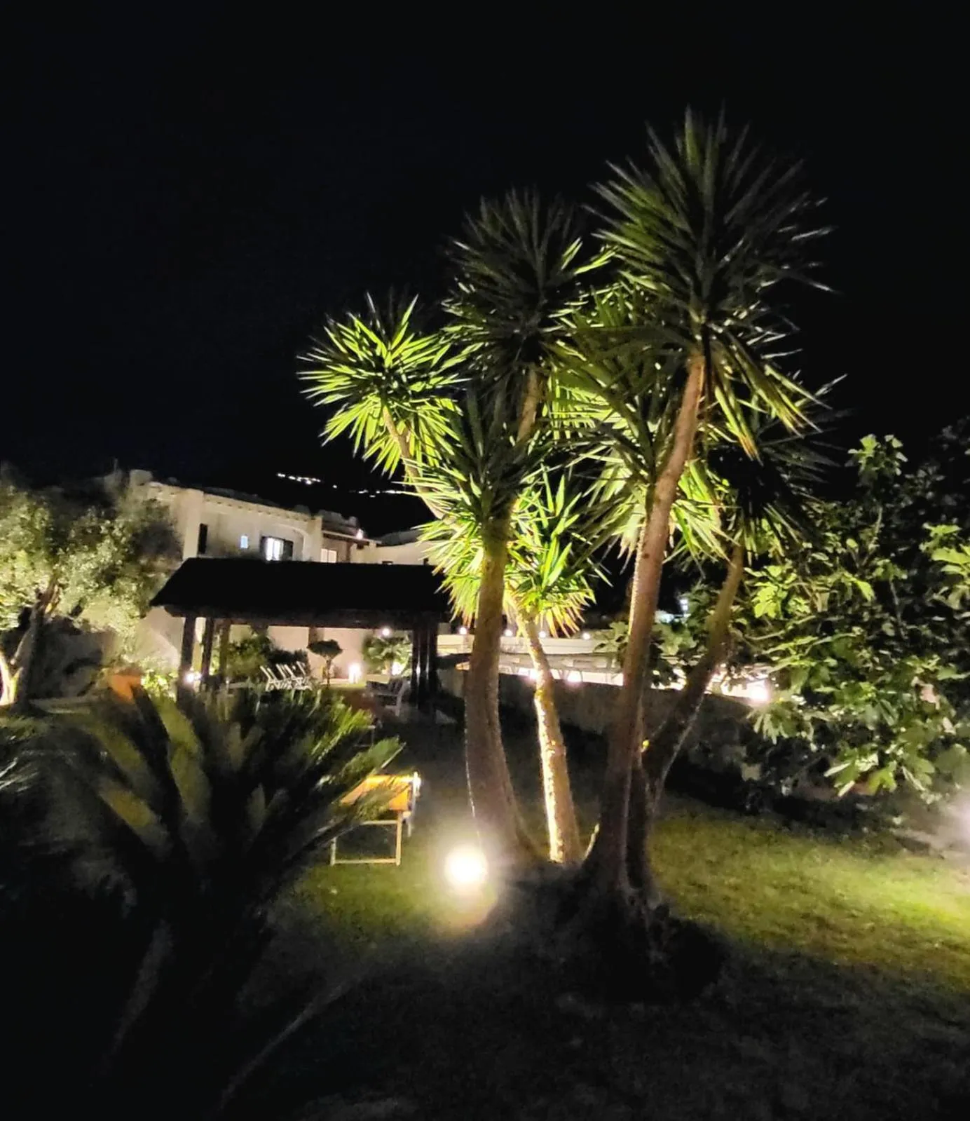 Night in Hotel Park Victoria