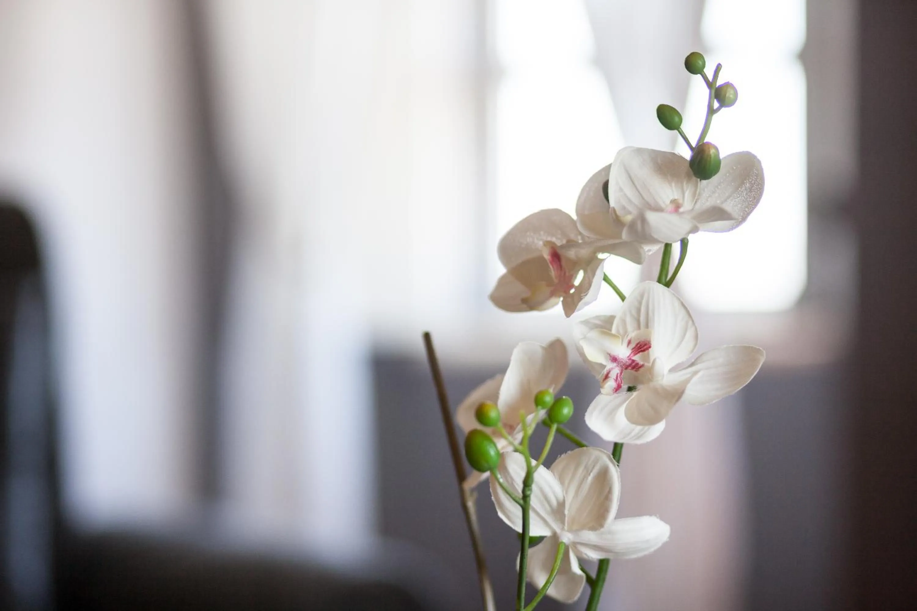 Decorative detail in Monte Do Zambujeiro