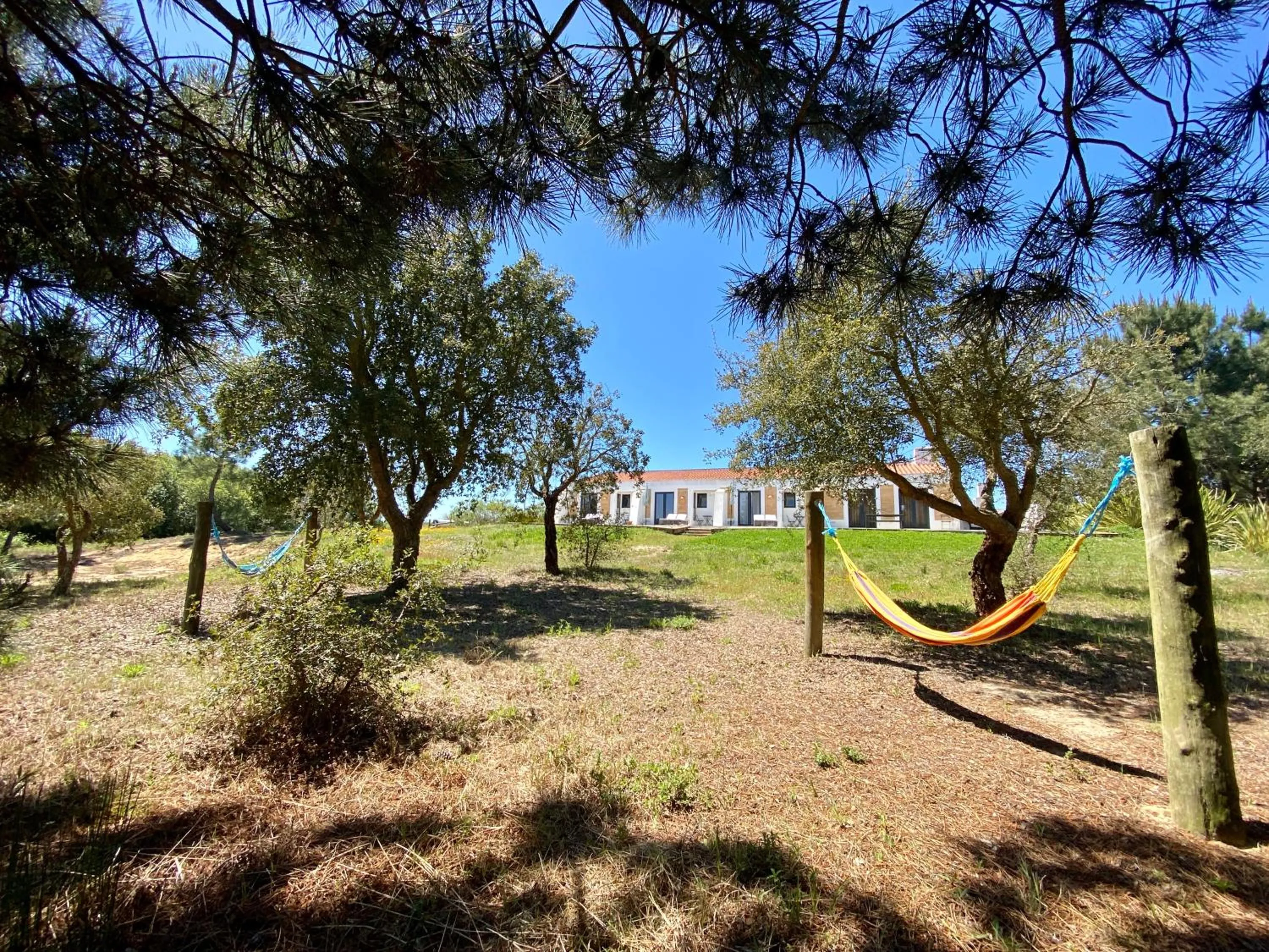 Natural landscape in Monte Do Zambujeiro
