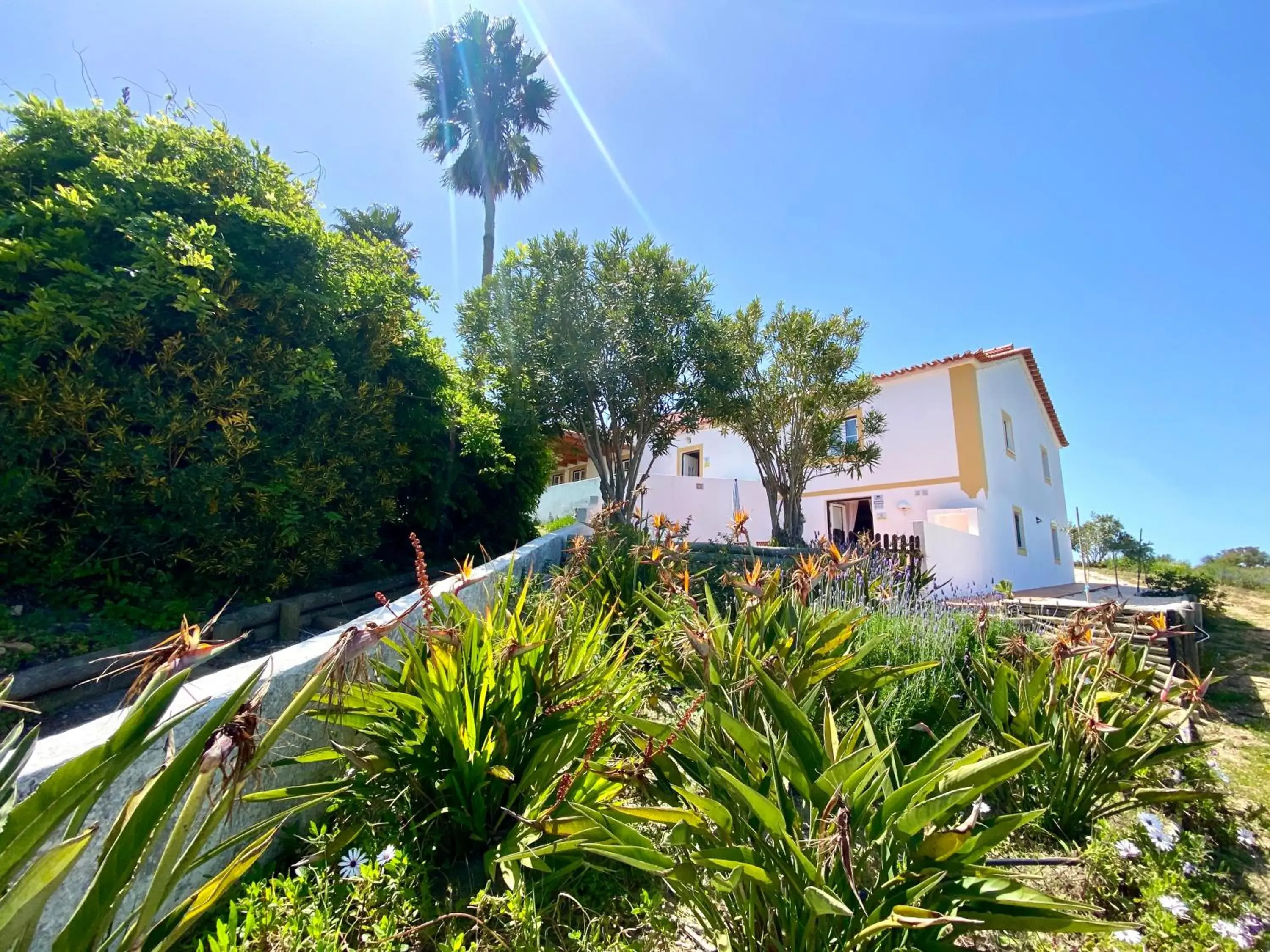 Garden view in Monte Do Zambujeiro Garden view in Monte Do Zambujeiro
