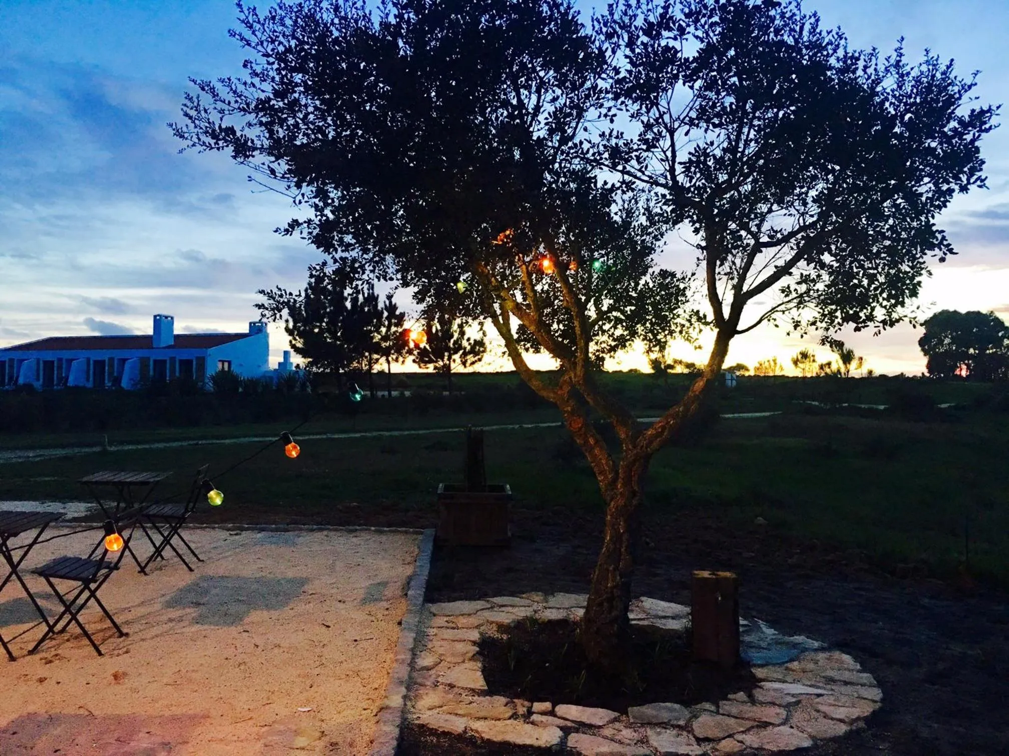 Restaurant/places to eat in Monte Do Zambujeiro