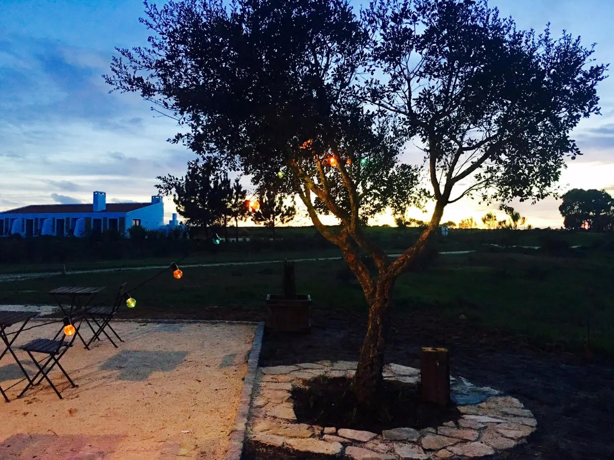 Restaurant/places to eat in Monte Do Zambujeiro Restaurant/places to eat in Monte Do Zambujeiro