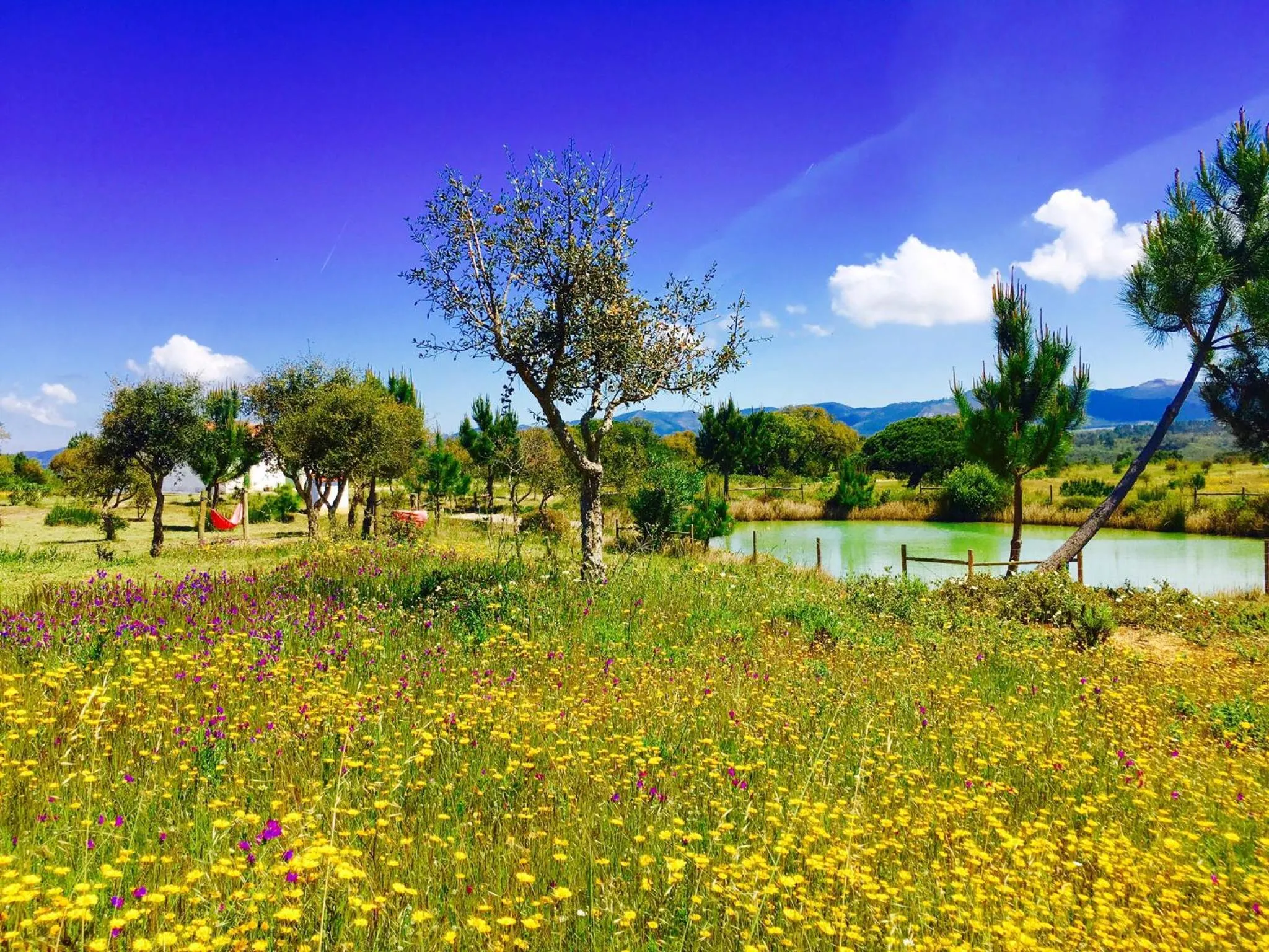 Natural landscape in Monte Do Zambujeiro