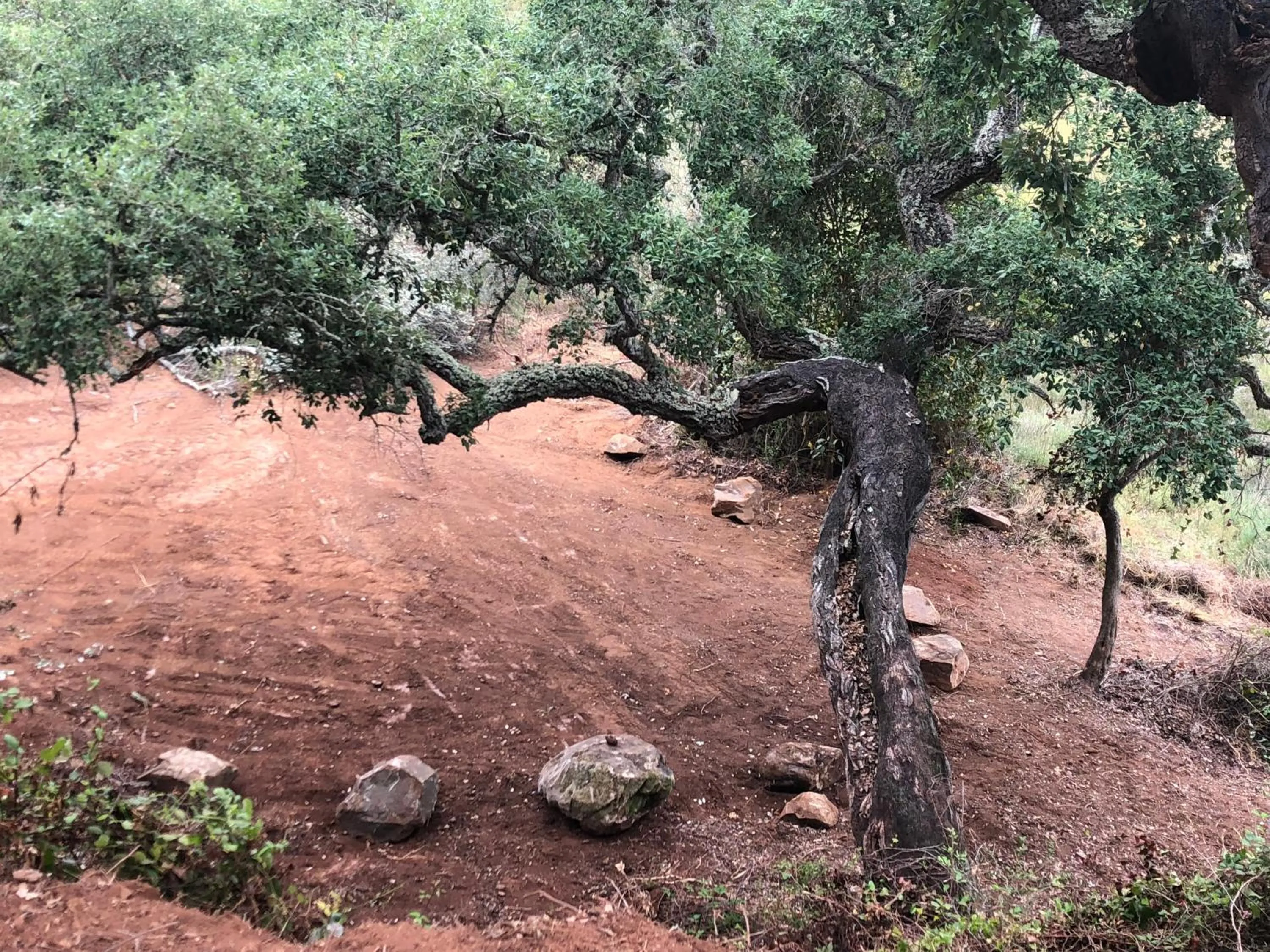 Natural landscape in Monte Do Zambujeiro