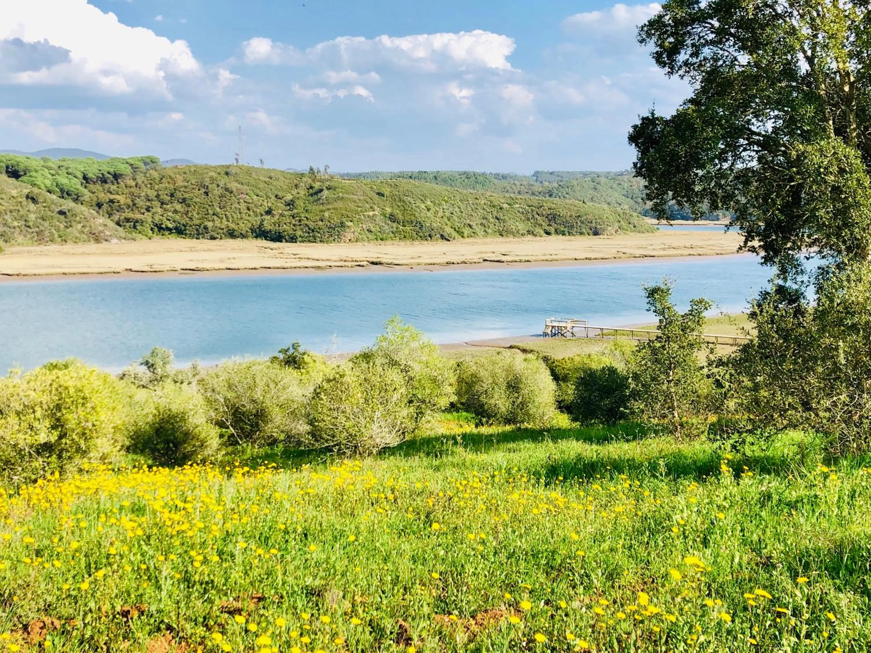 Natural landscape in Monte Do Zambujeiro