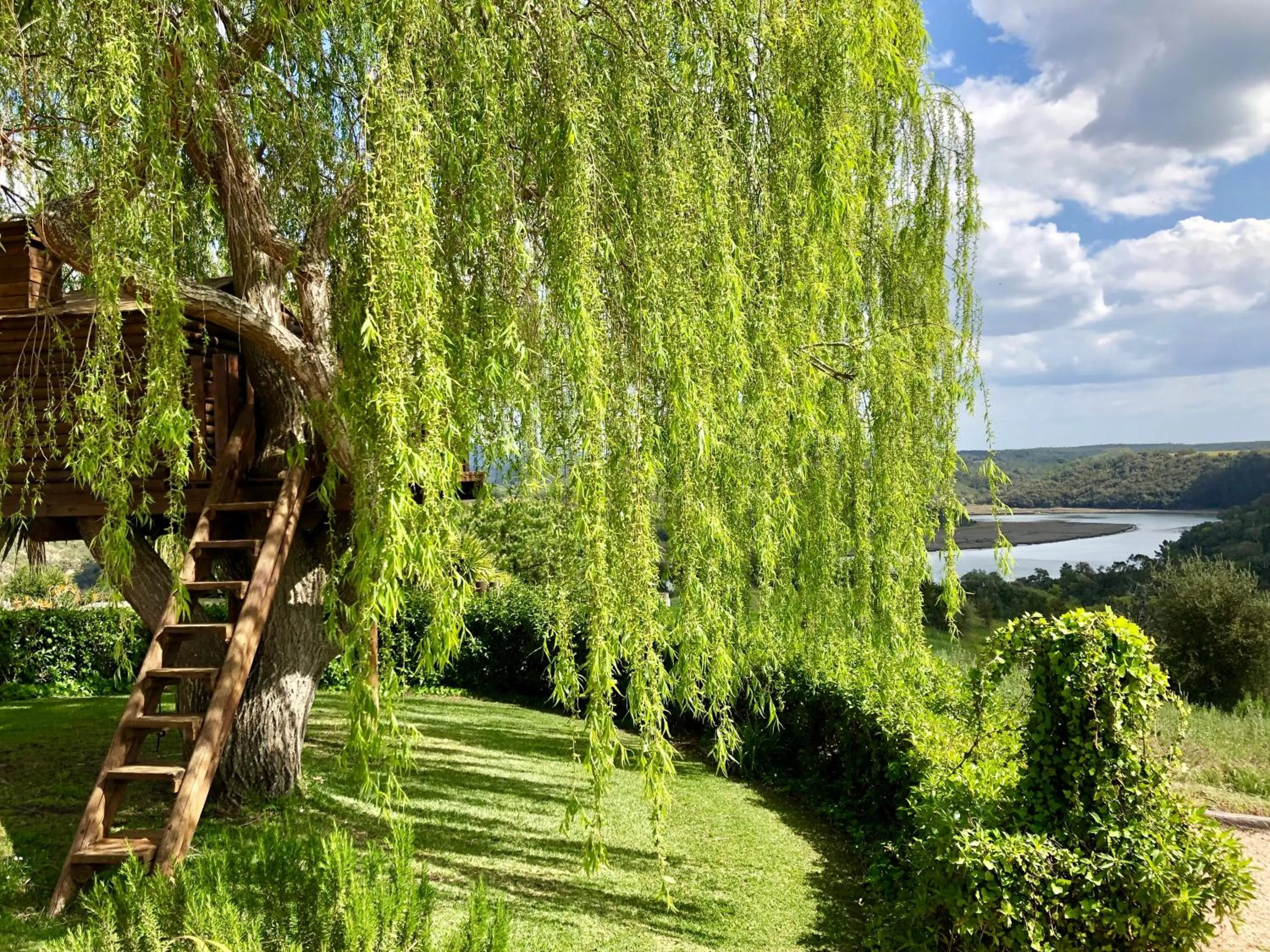 Natural landscape in Monte Do Zambujeiro