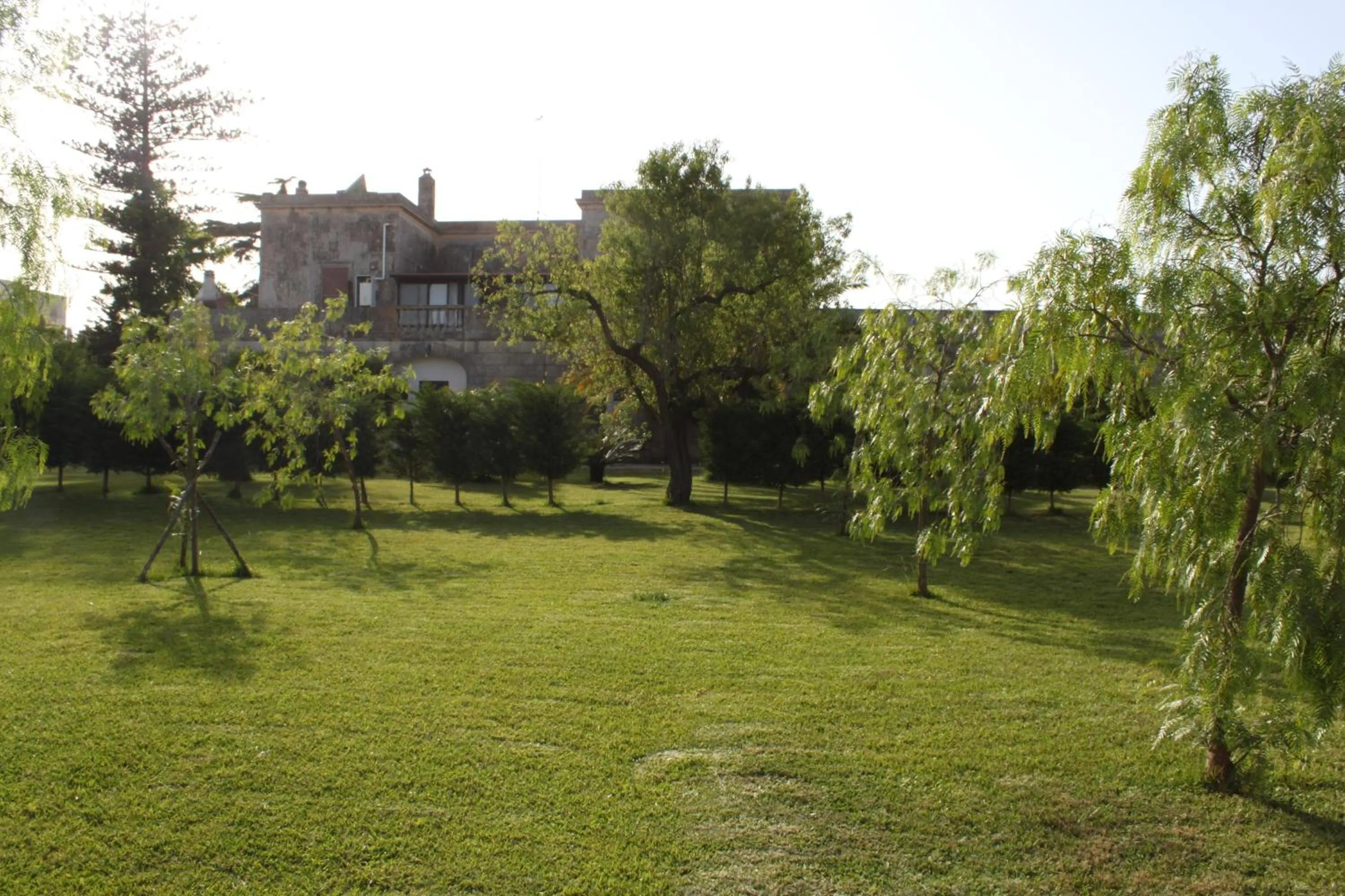 Garden in Villa Papaleo B&B