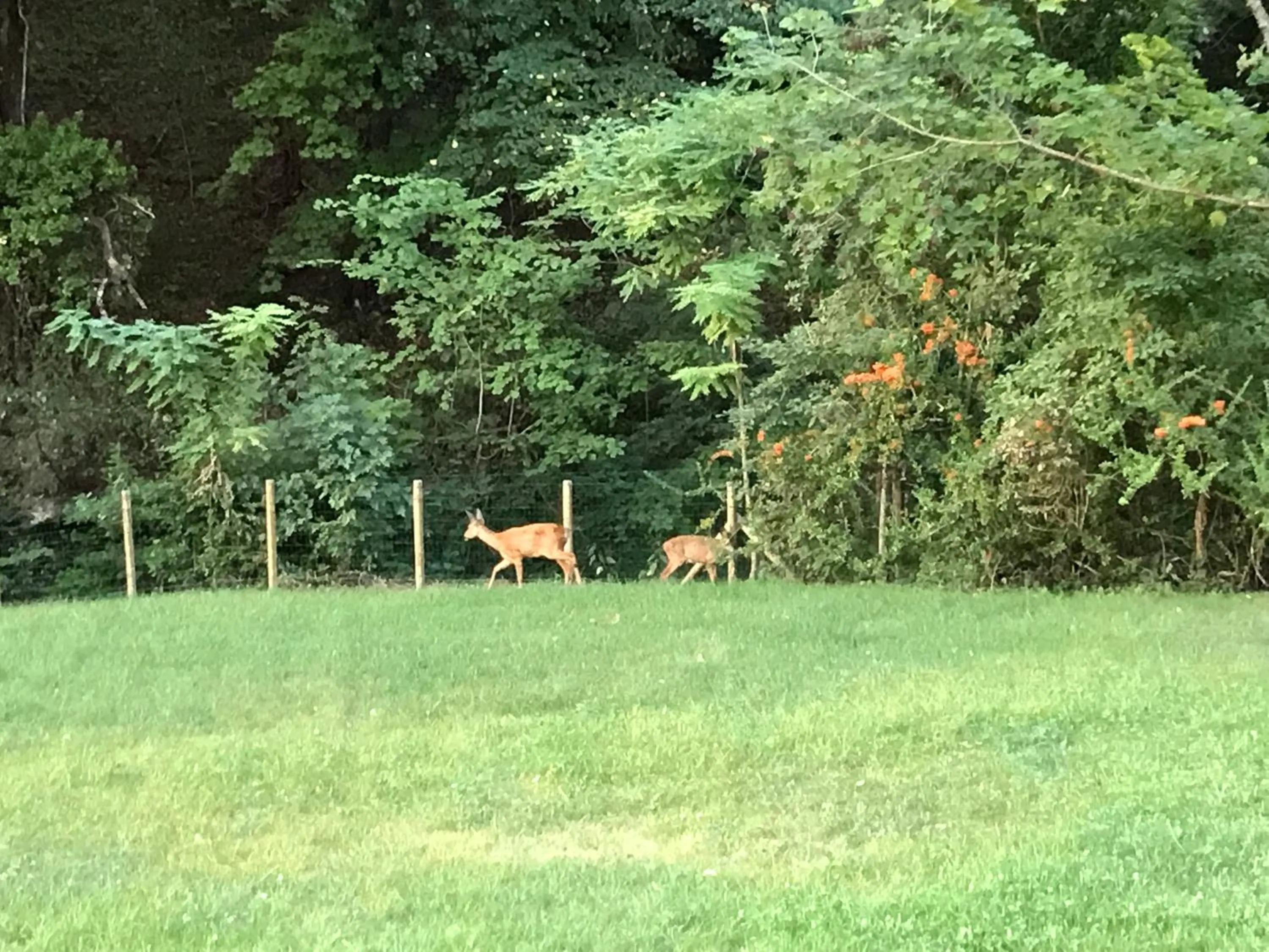 Garden view in La Cachette