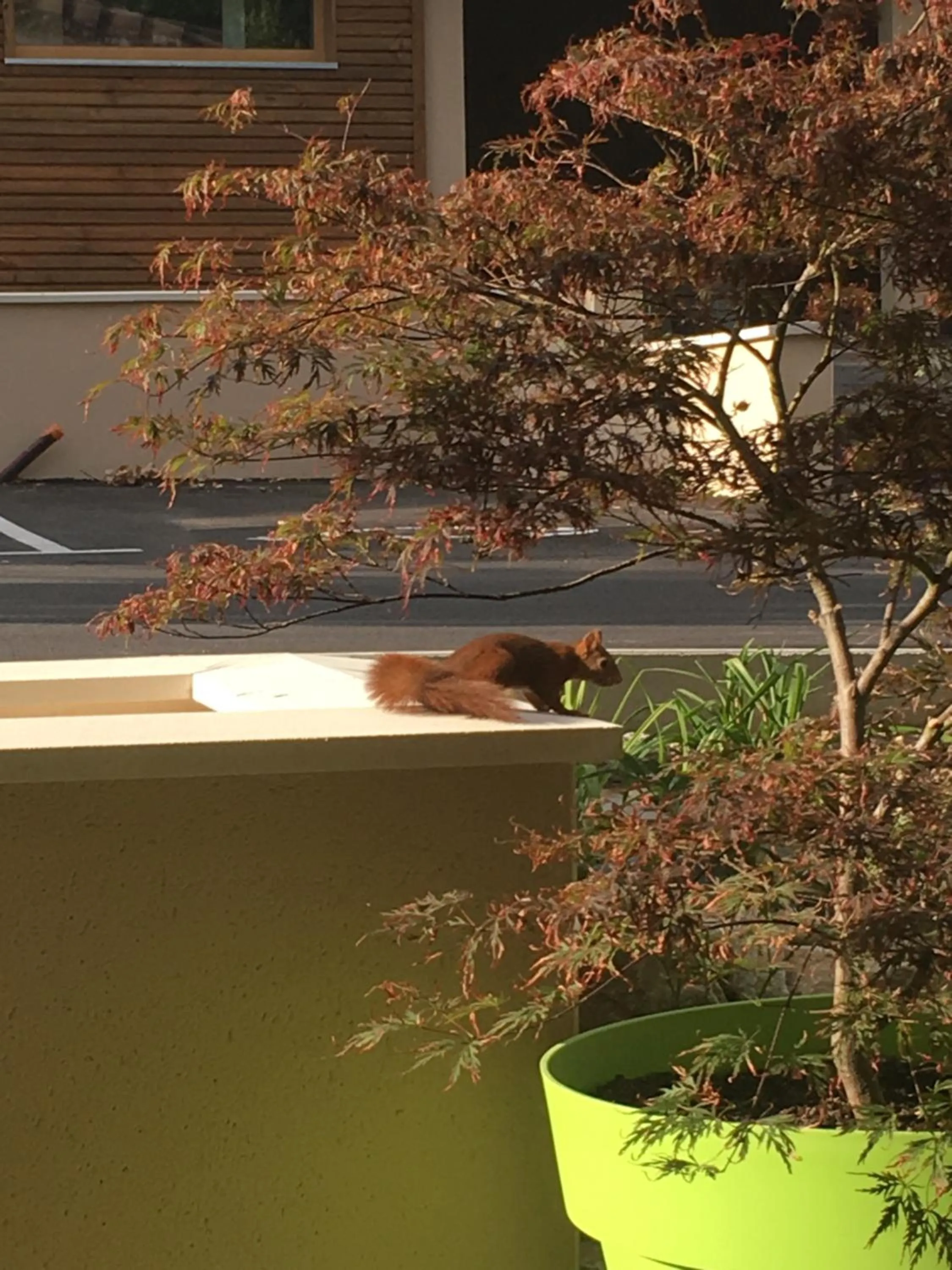 View (from property/room) in La Cachette