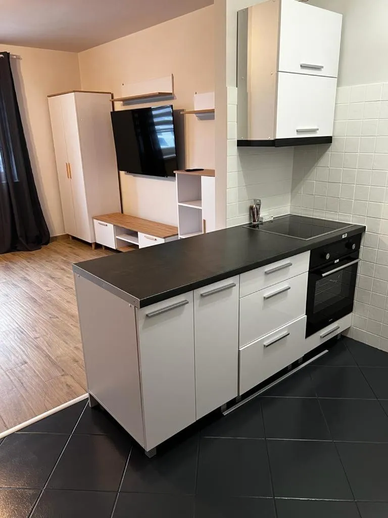 Kitchen or kitchenette in Delta Apart-House