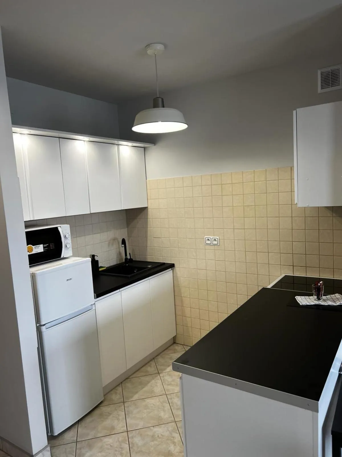 Kitchen or kitchenette in Delta Apart-House