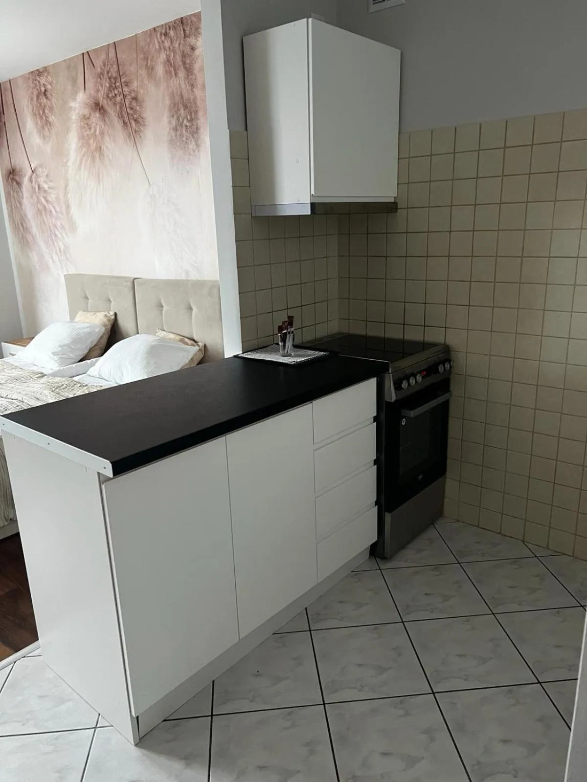 Kitchen or kitchenette in Delta Apart-House