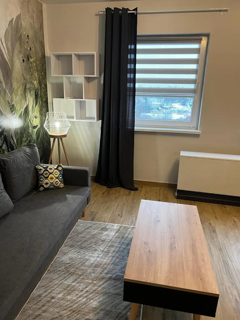 Living room in Delta Apart-House