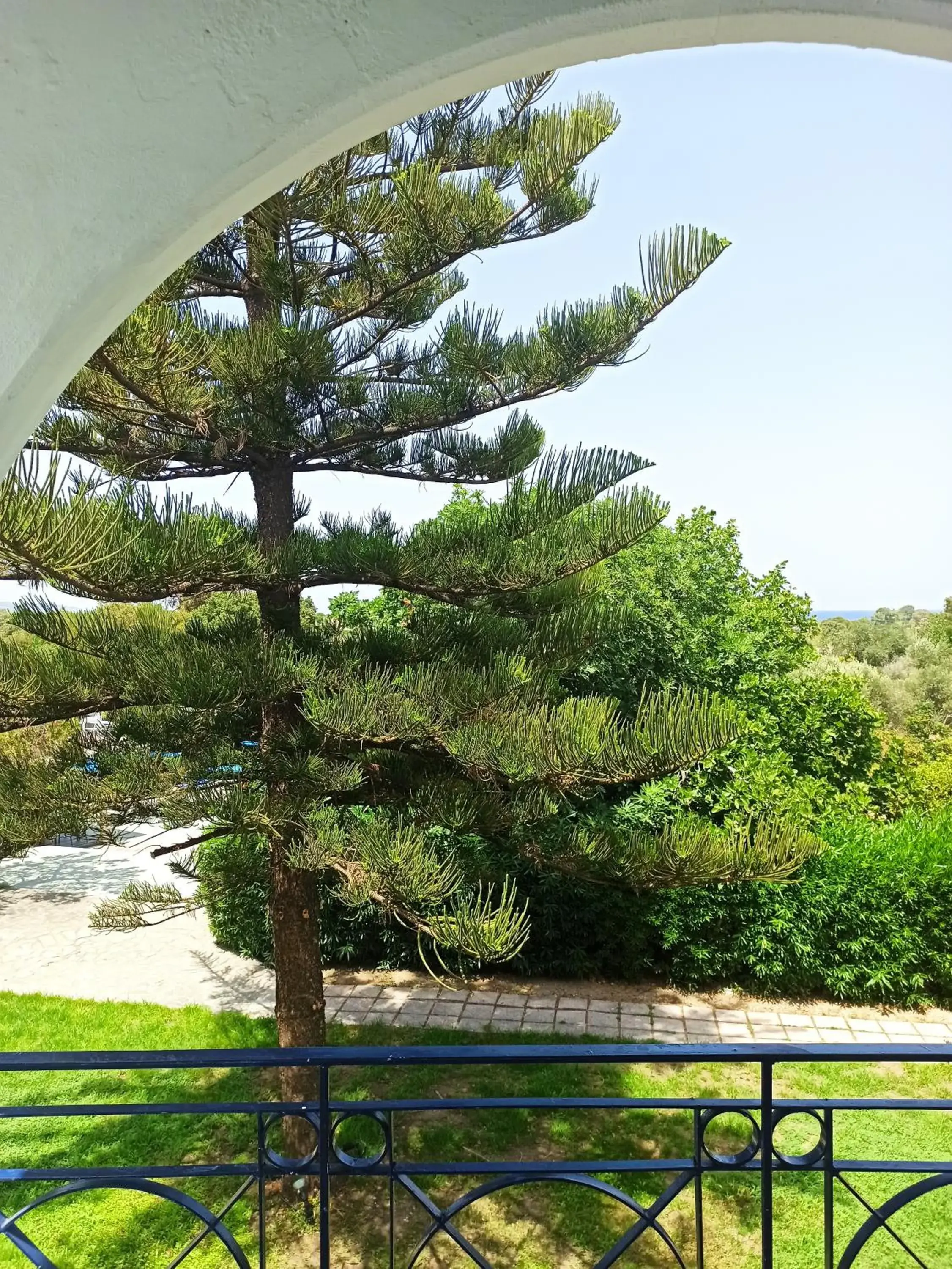 Garden view in Summer Dream Garden view in Summer Dream