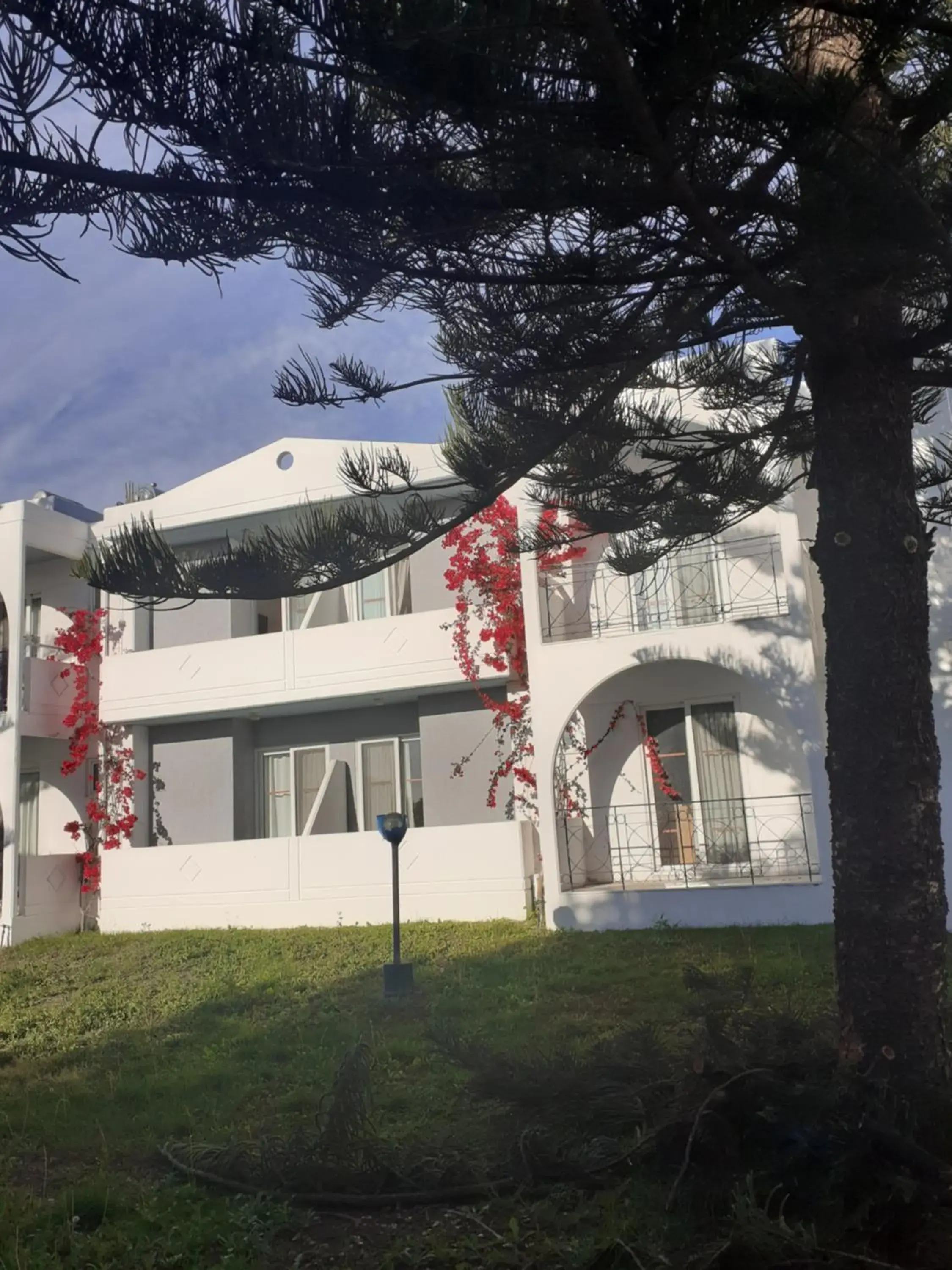 Garden view in Summer Dream Garden view in Summer Dream