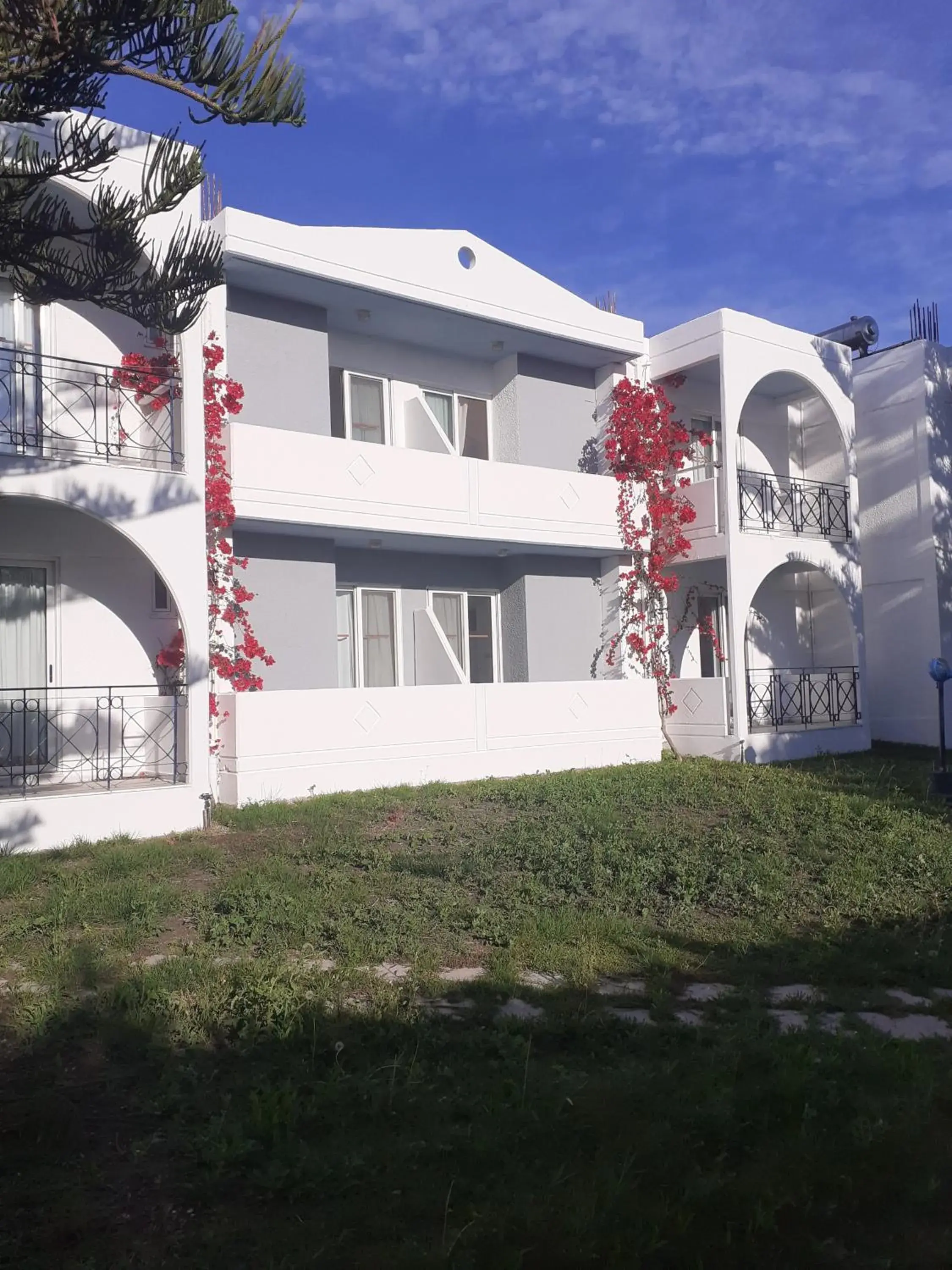 Garden view in Summer Dream Garden view in Summer Dream