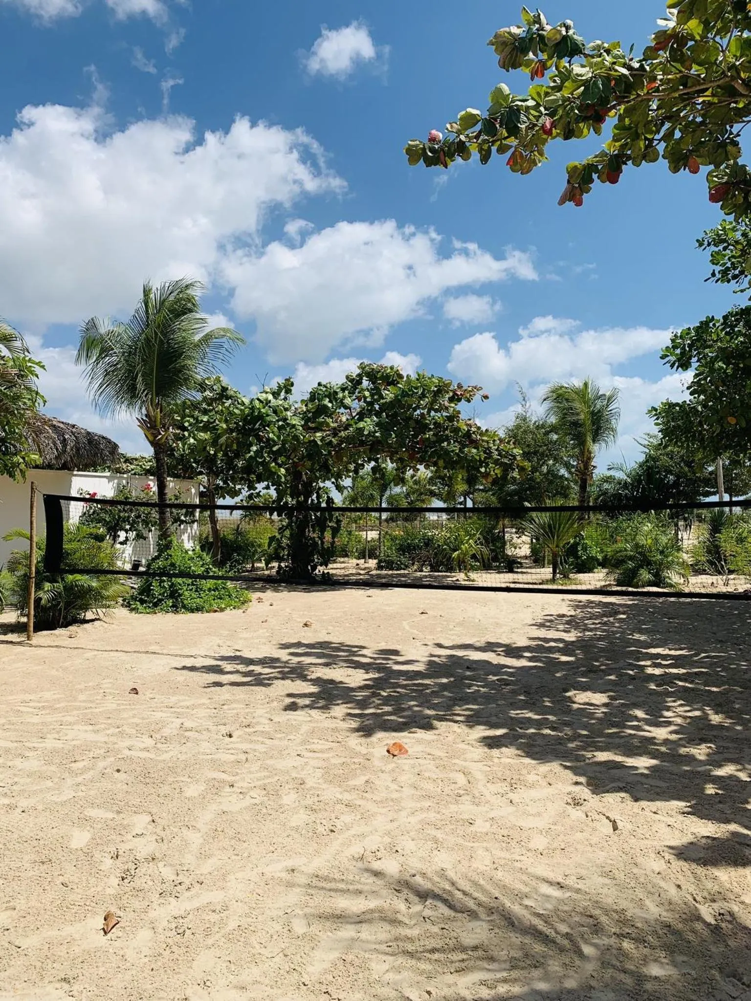 Natural landscape in Villa Praia - La Villa Group