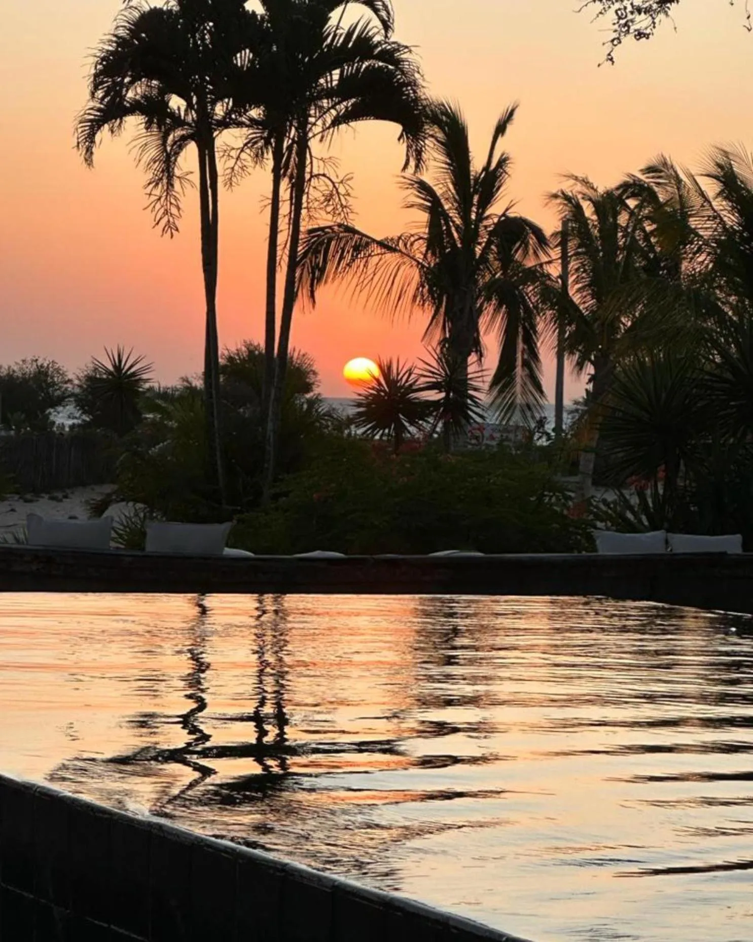 Garden in Villa Praia - La Villa Group