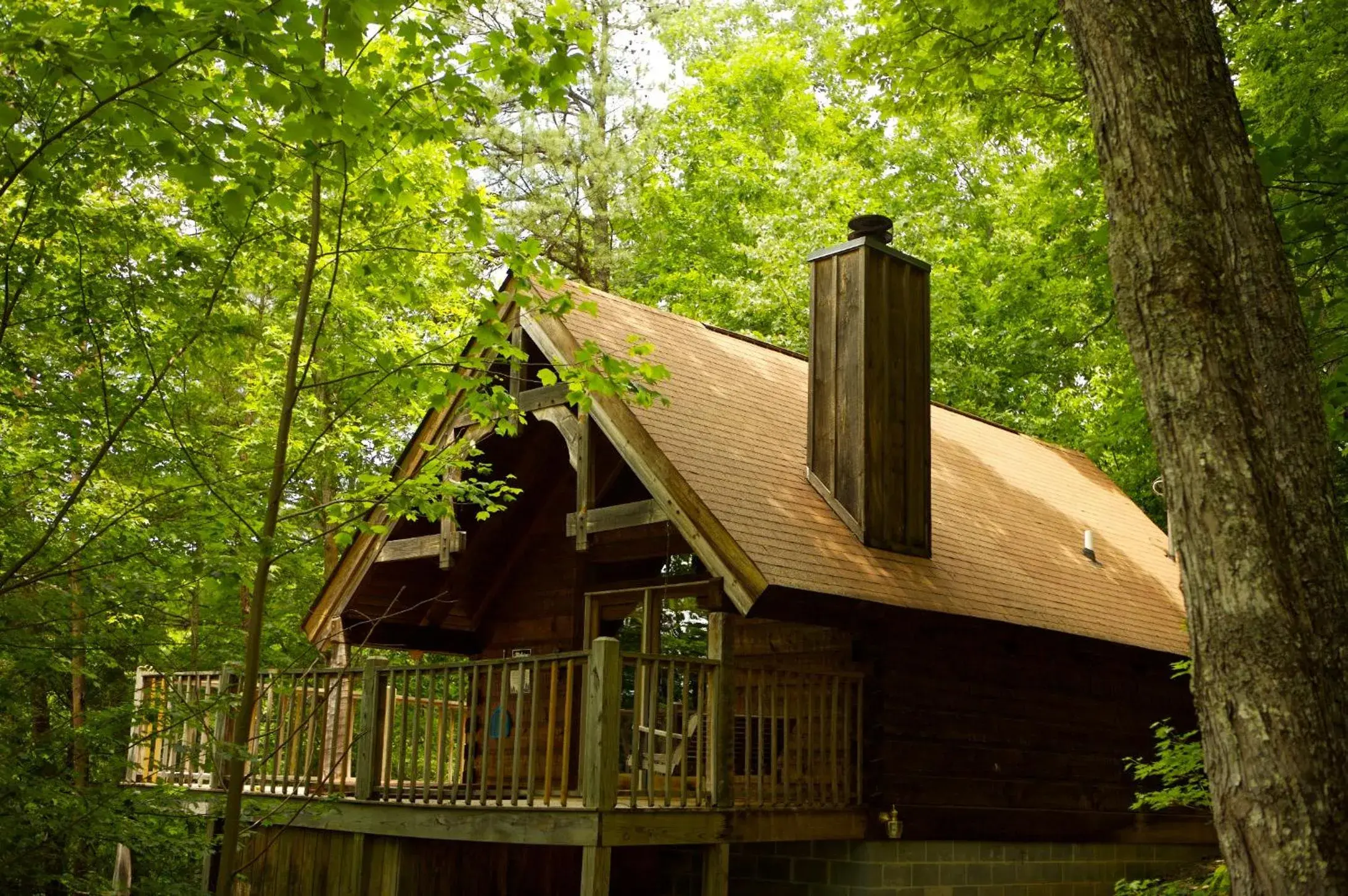 A Cabin In The Woods A Cabin In The Woods