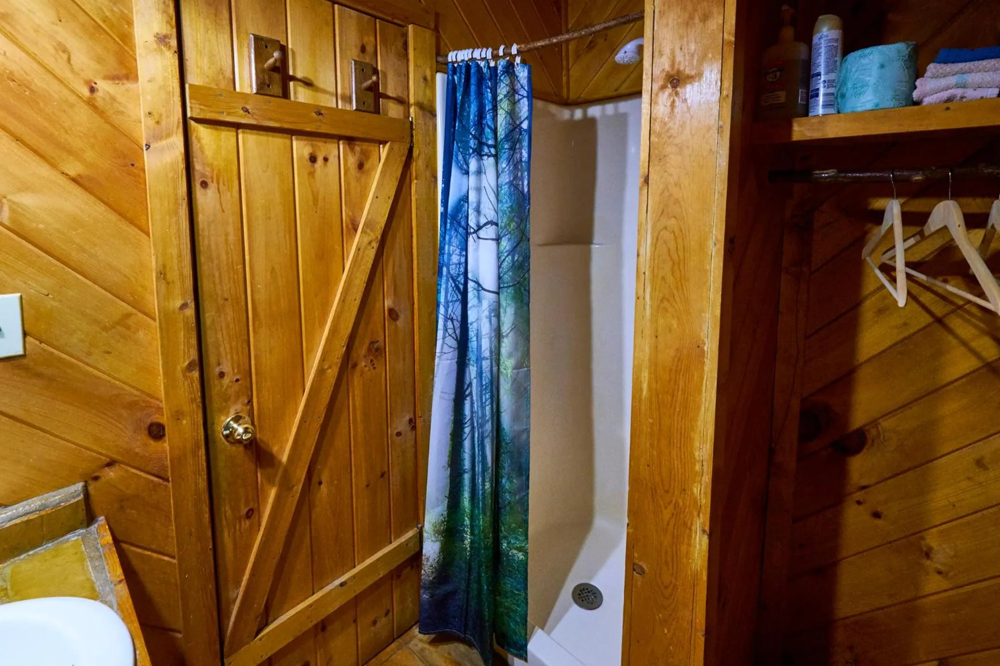 A Cabin In The Woods