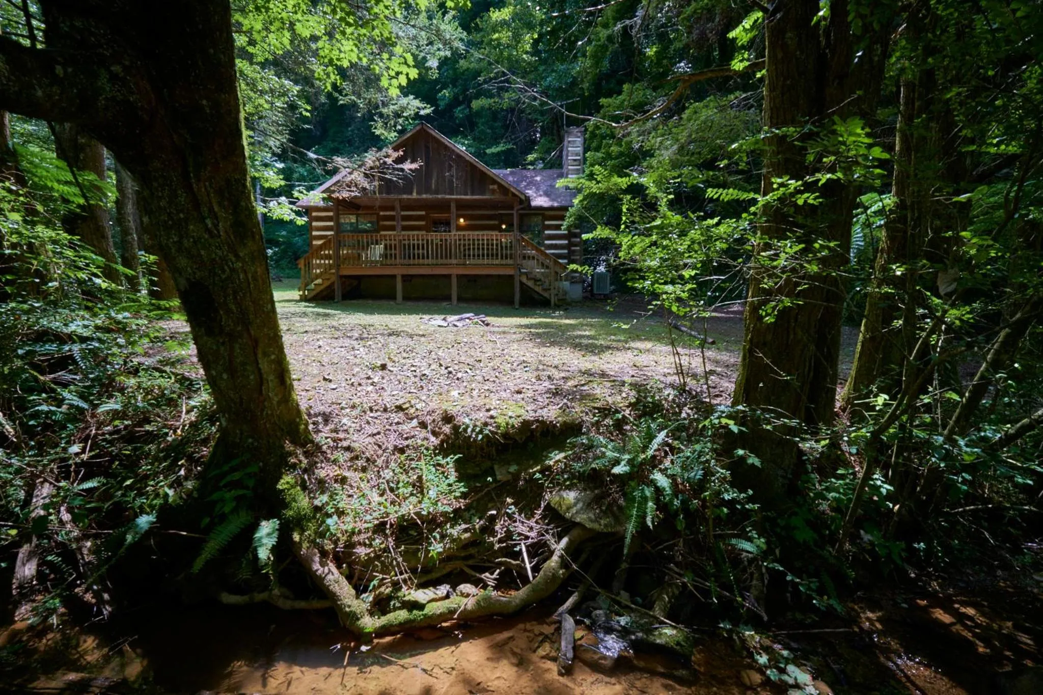 A Cabin In The Woods
