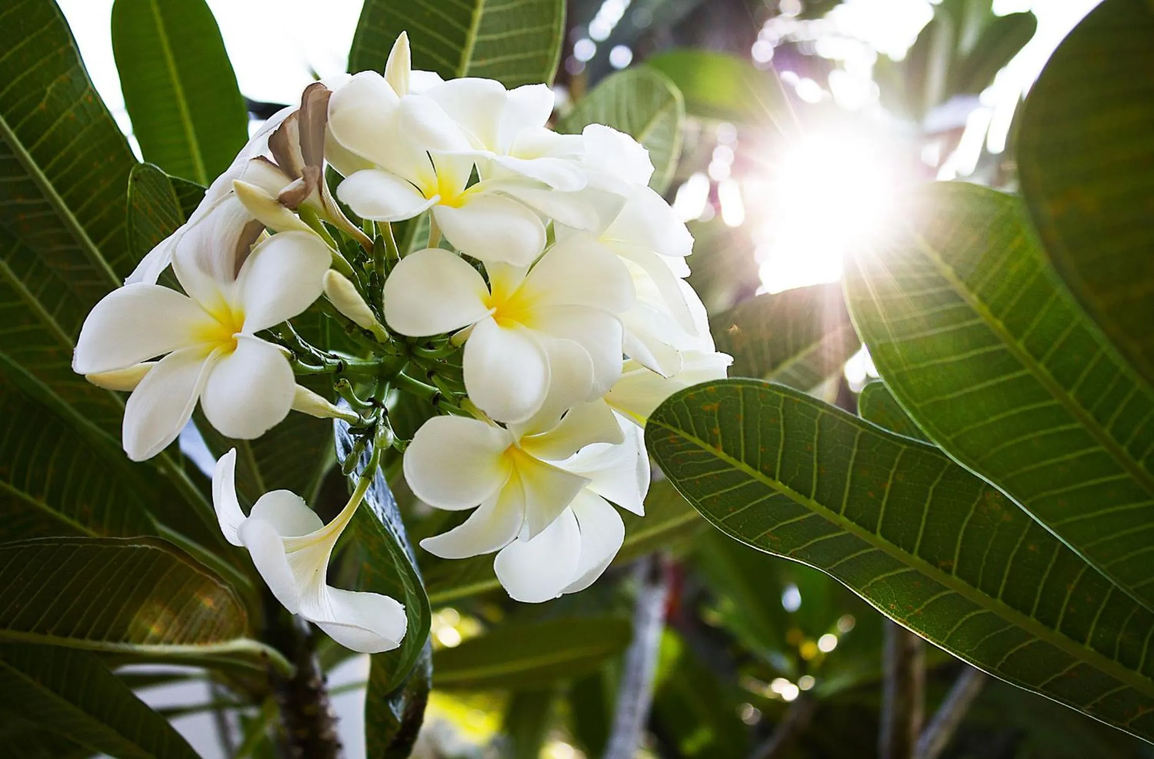 Natural landscape in Exotic Boutique Hotel