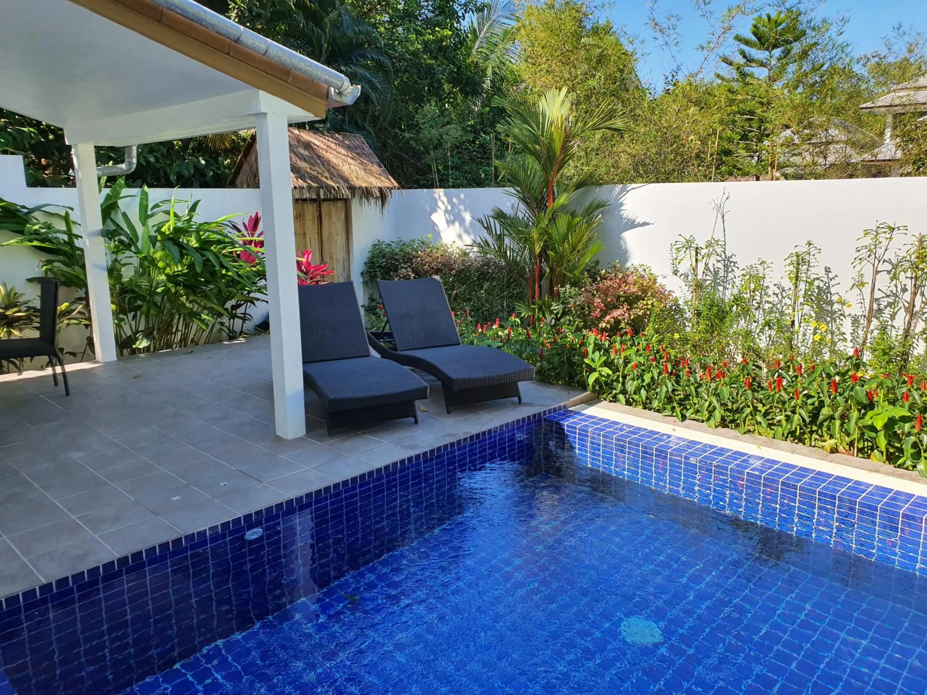 Exotic Boutique Hotel