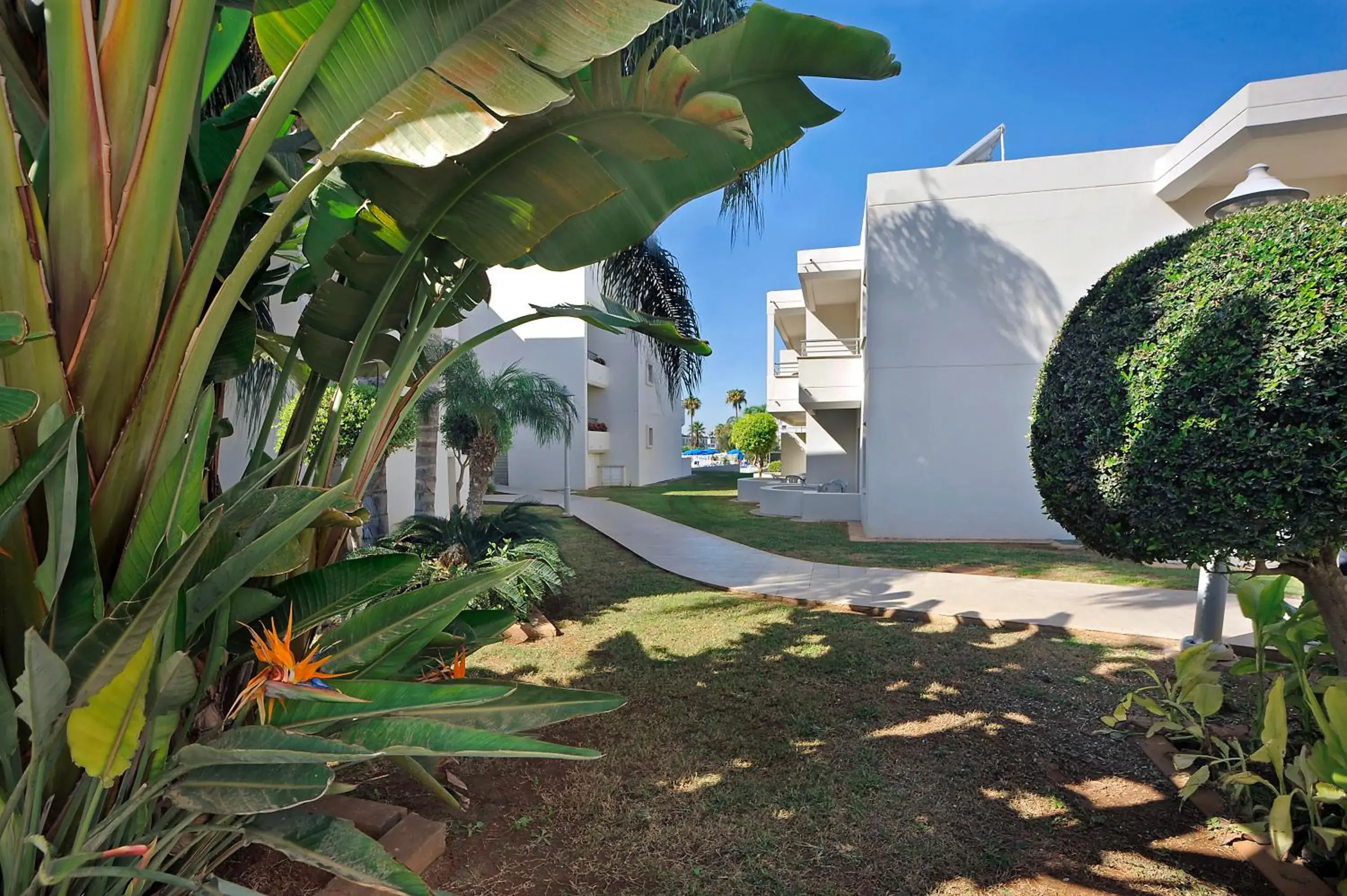 Property building in Euronapa Hotel Apartments Property building in Euronapa Hotel Apartments