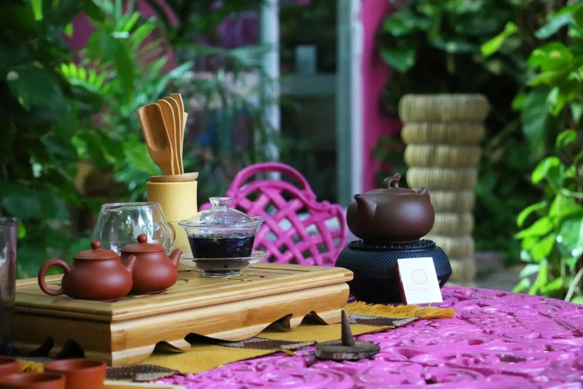 Garden in Santuario Playa Garden in Santuario Playa