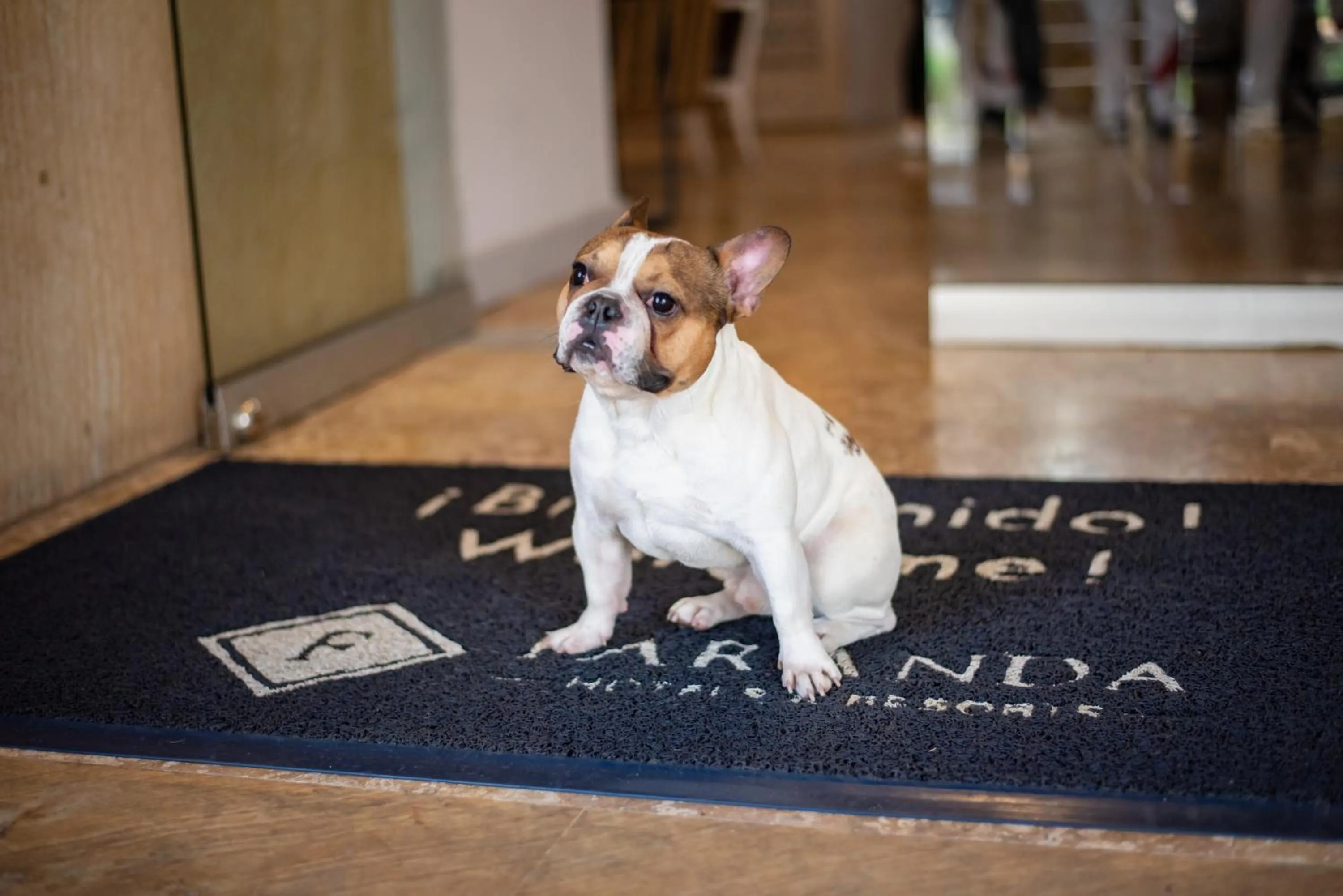 Lobby or reception in Faranda Express Belvedere