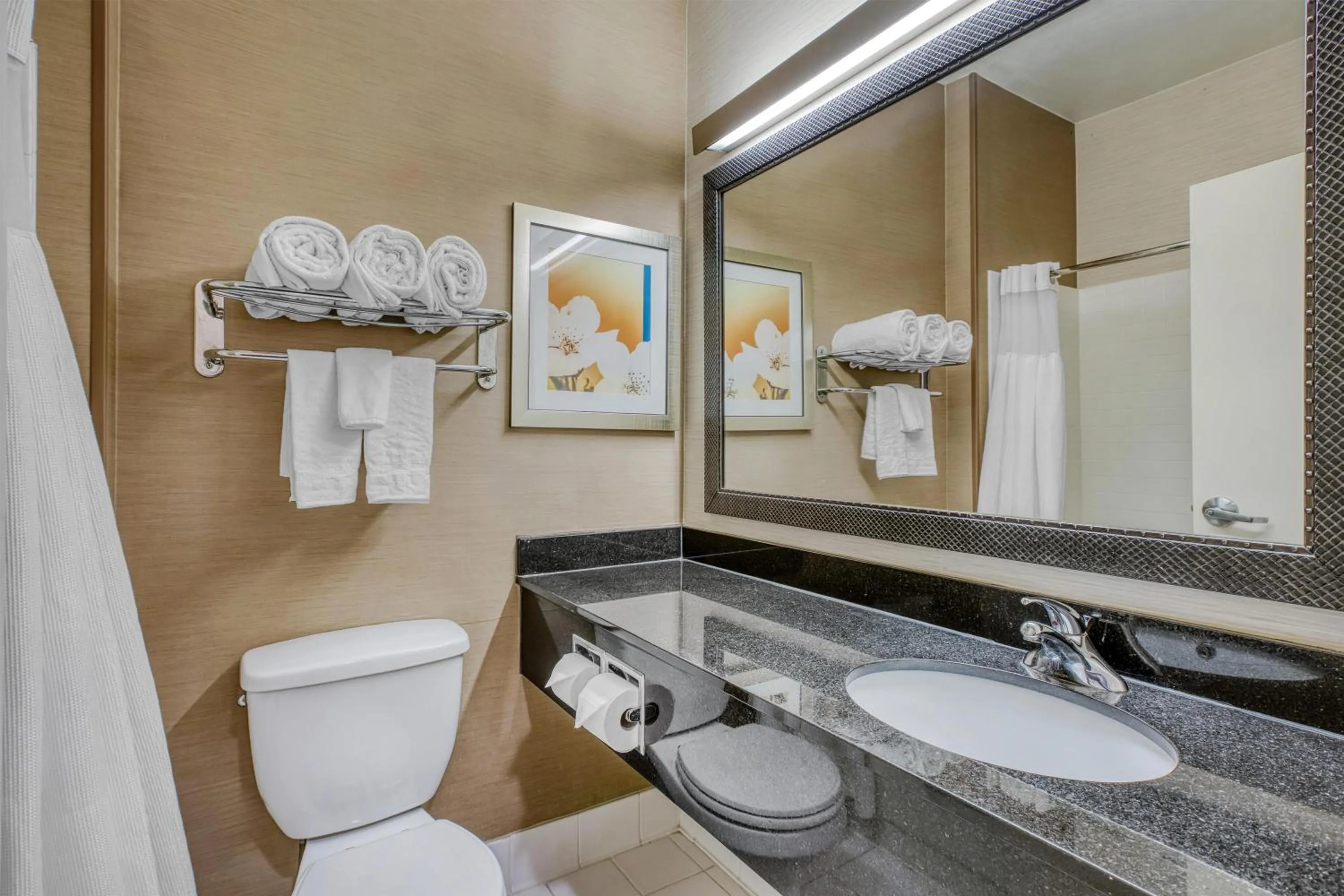 Bathroom in SureStay by Best Western Mount Pleasant Racine