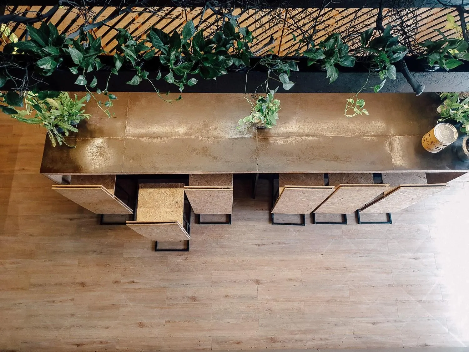 Other in Hugger Hostel