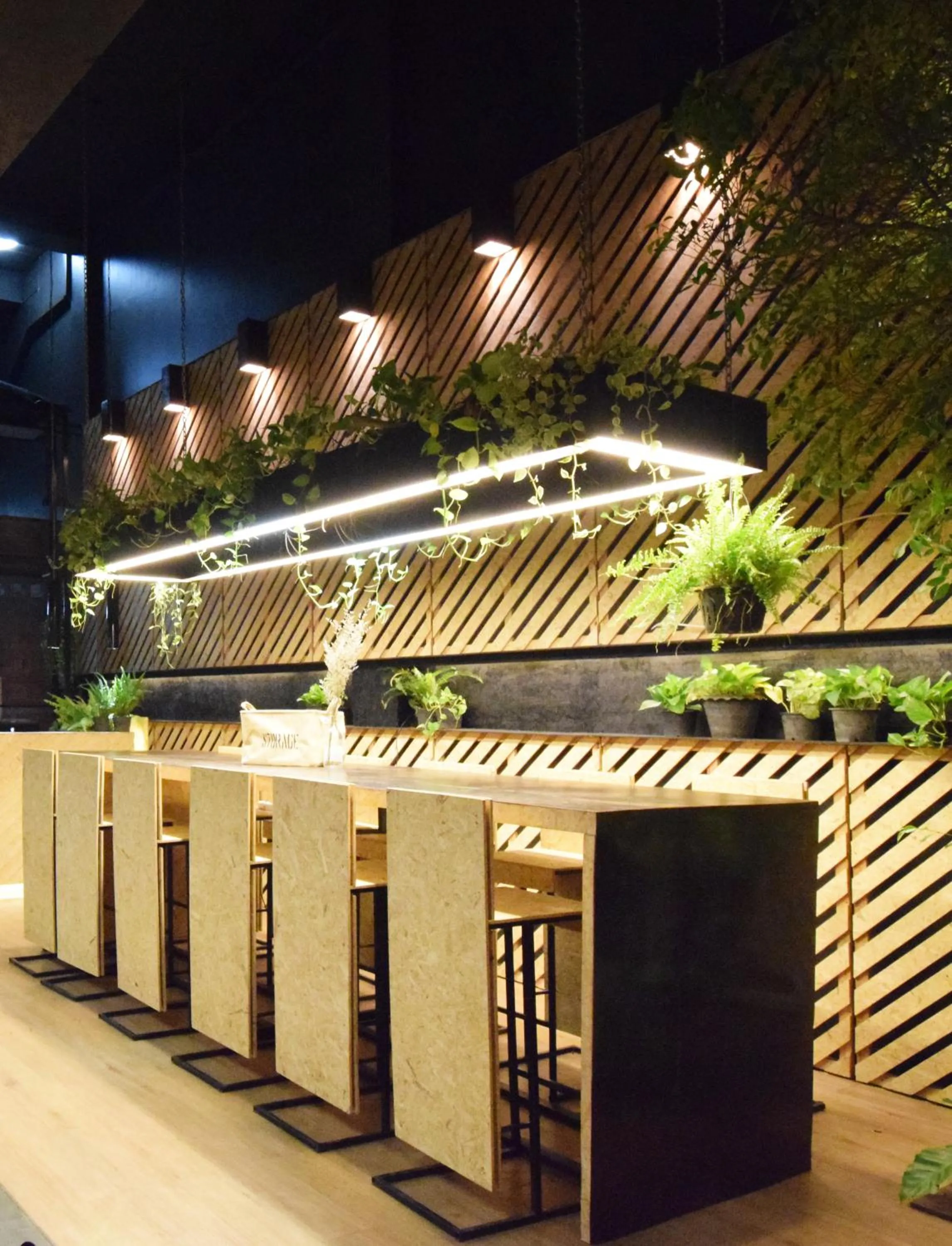 Area and facilities in Hugger Hostel