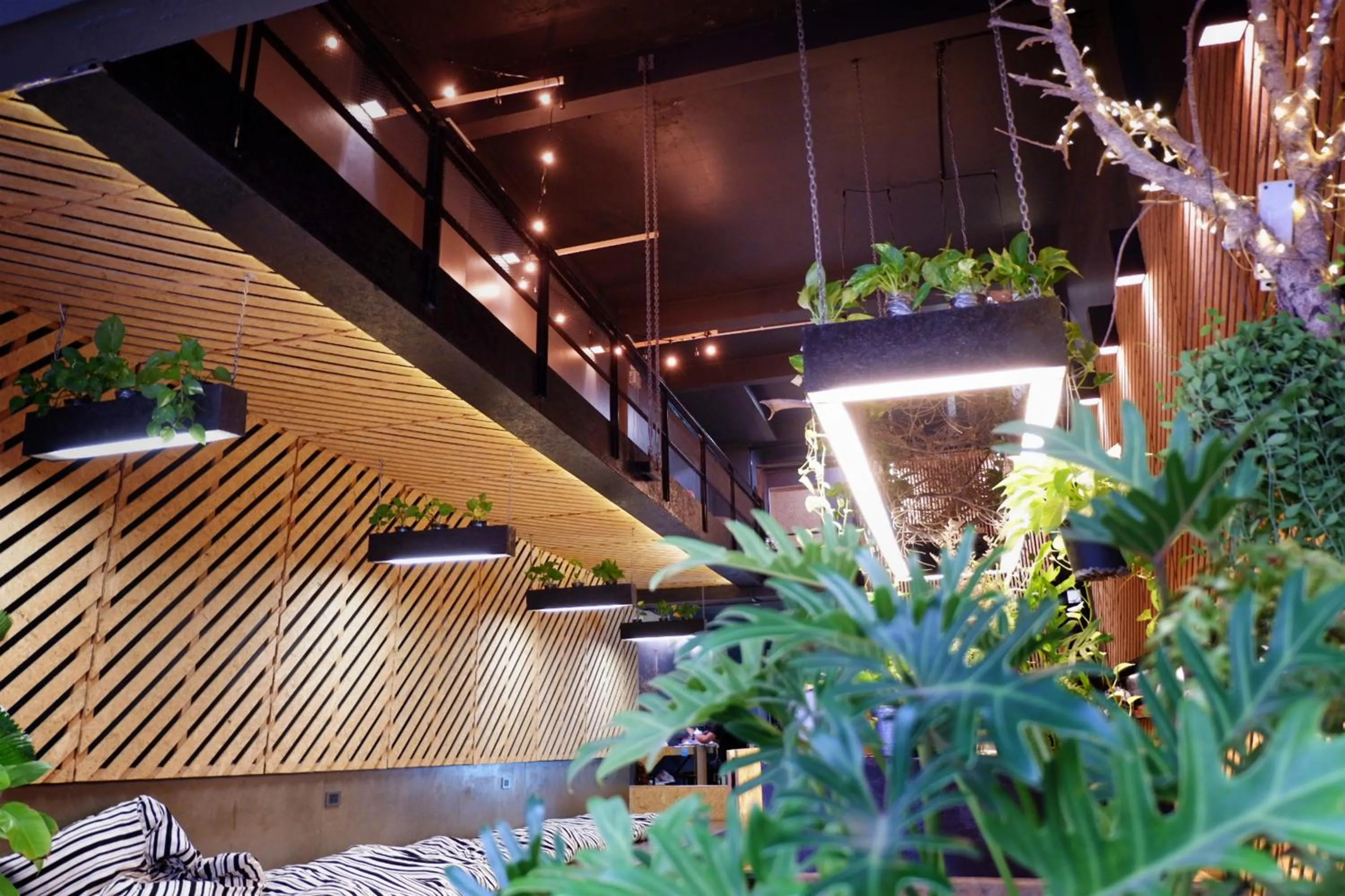 Other in Hugger Hostel