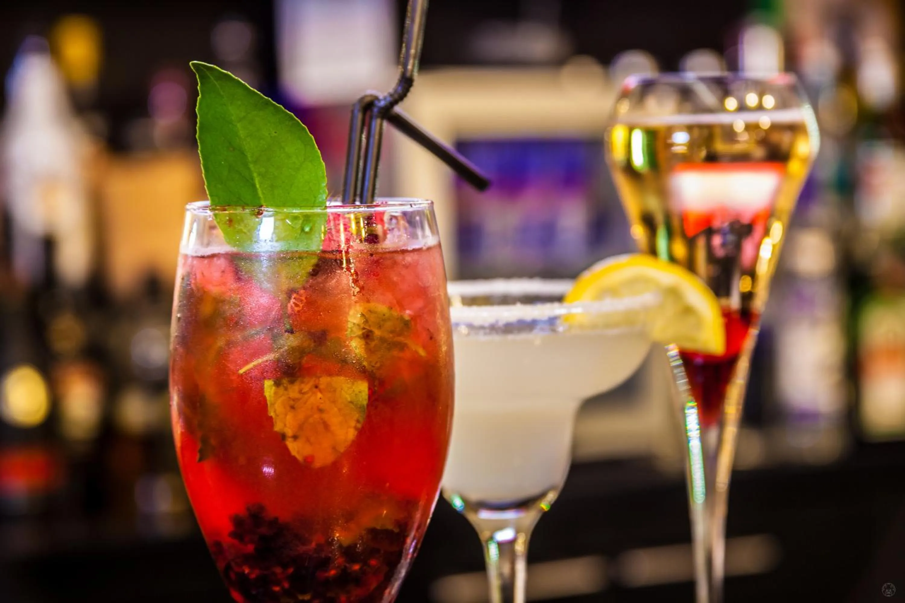 Lounge or bar in MDS Hotel Concepción