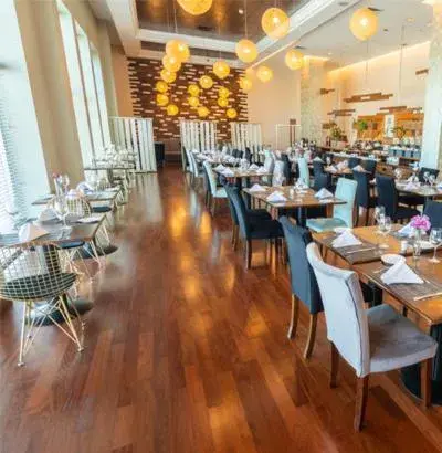 Restaurant/places to eat in MDS Hotel Concepción Restaurant/places to eat in MDS Hotel Concepción