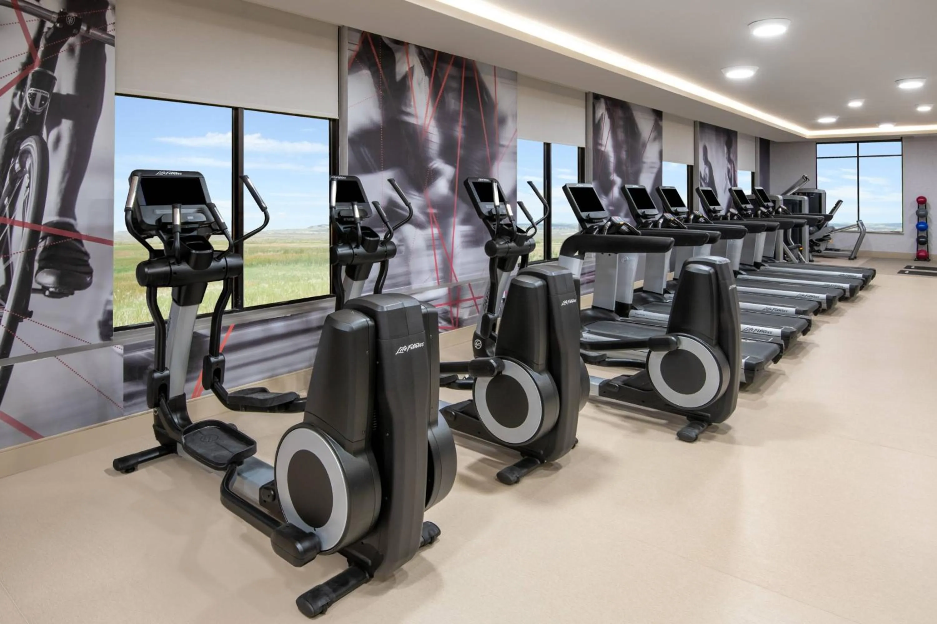 Fitness centre/facilities in Madison Marriott West