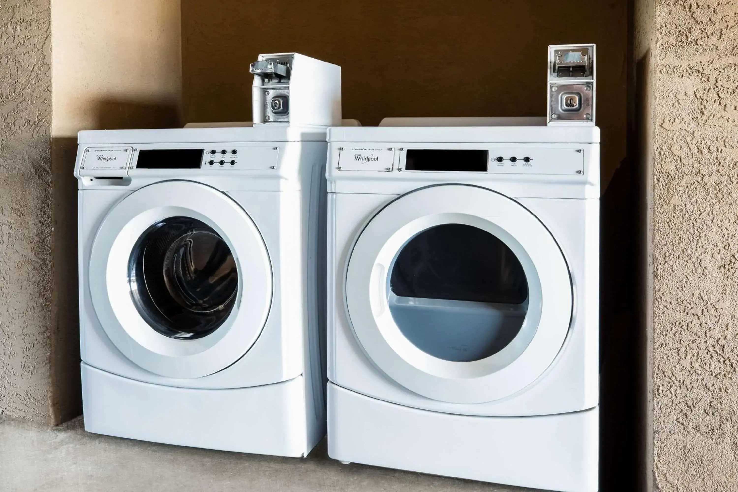 On site in Super 8 by Wyndham Lindsay Olive Tree On site in Super 8 by Wyndham Lindsay Olive Tree