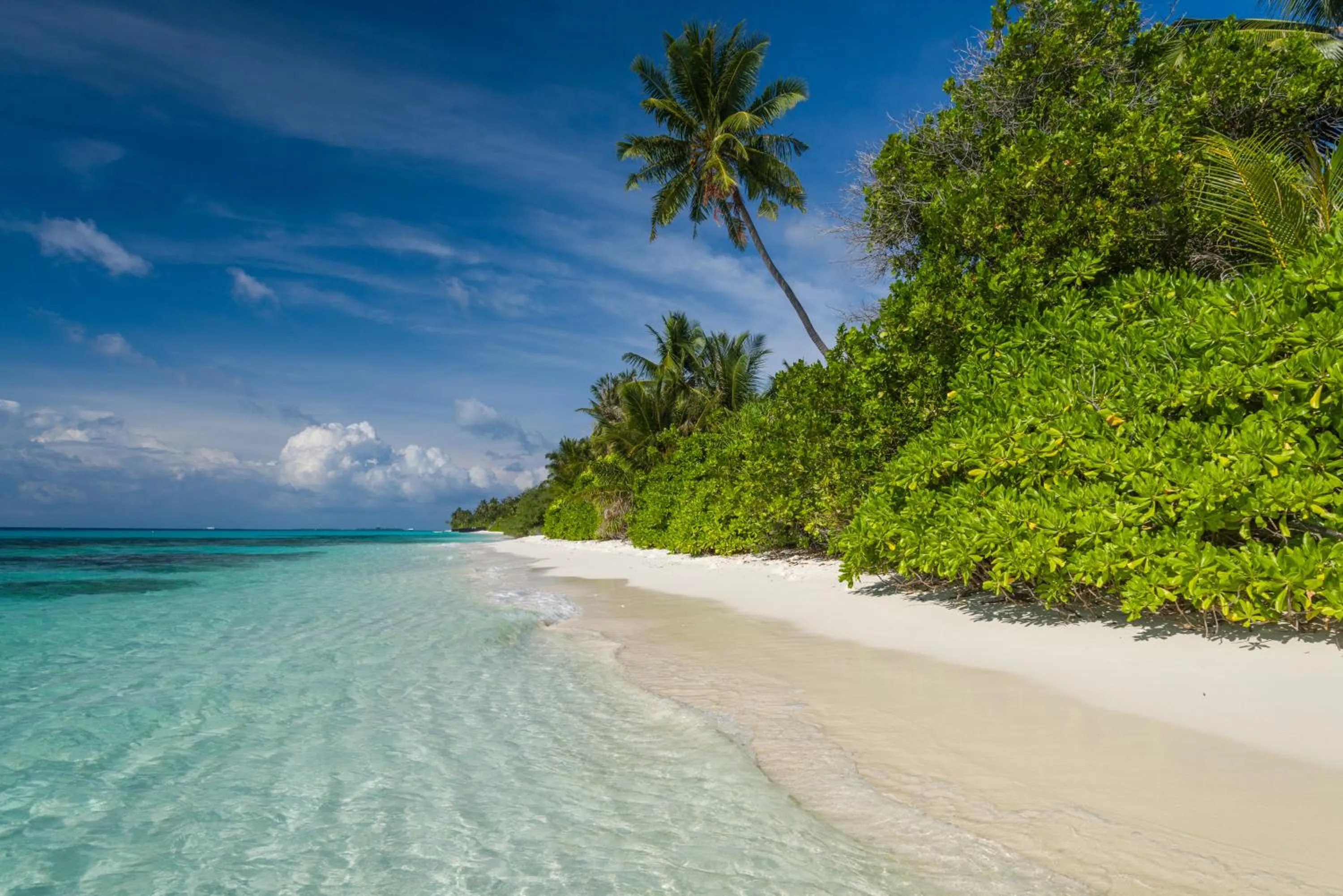 Beach in White Sand Dhigurah