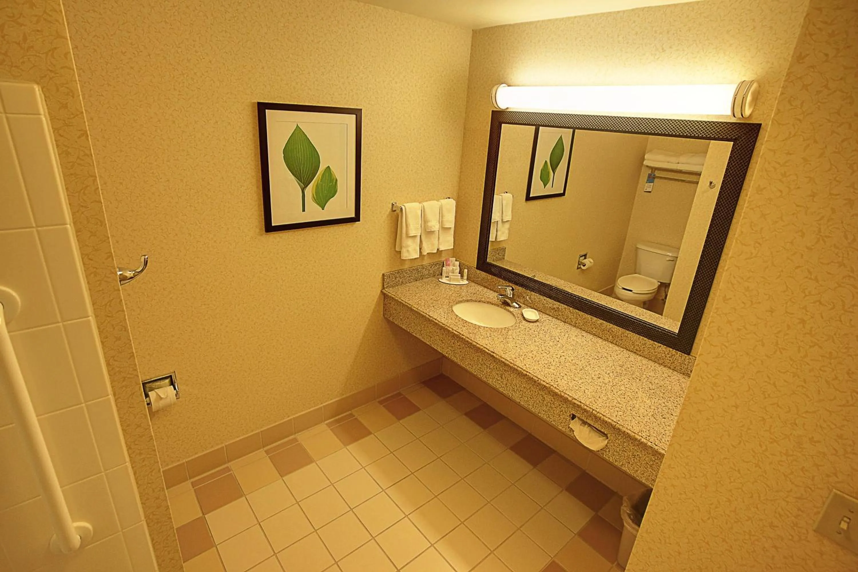 Bathroom in Fairfield Inn & Suites Mount Vernon Rend Lake