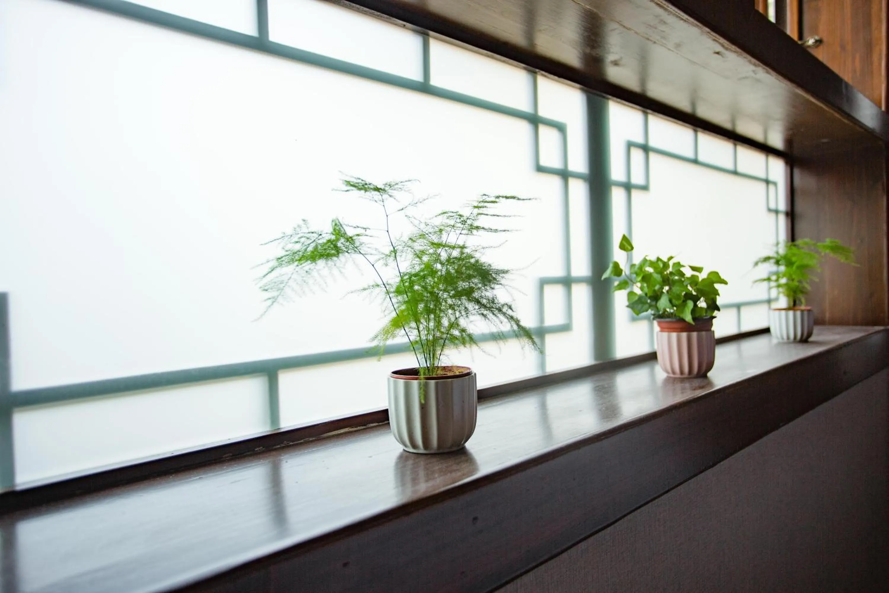 Wang Jiang Reclusive Boutique Inn