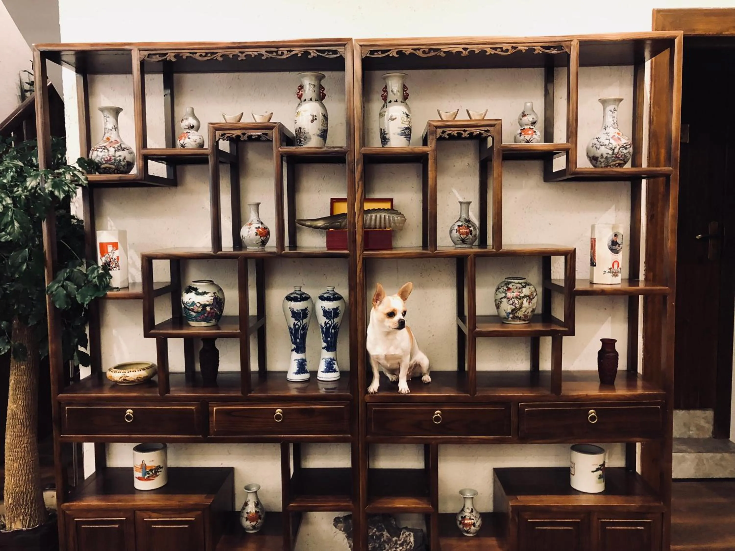 Wang Jiang Reclusive Boutique Inn