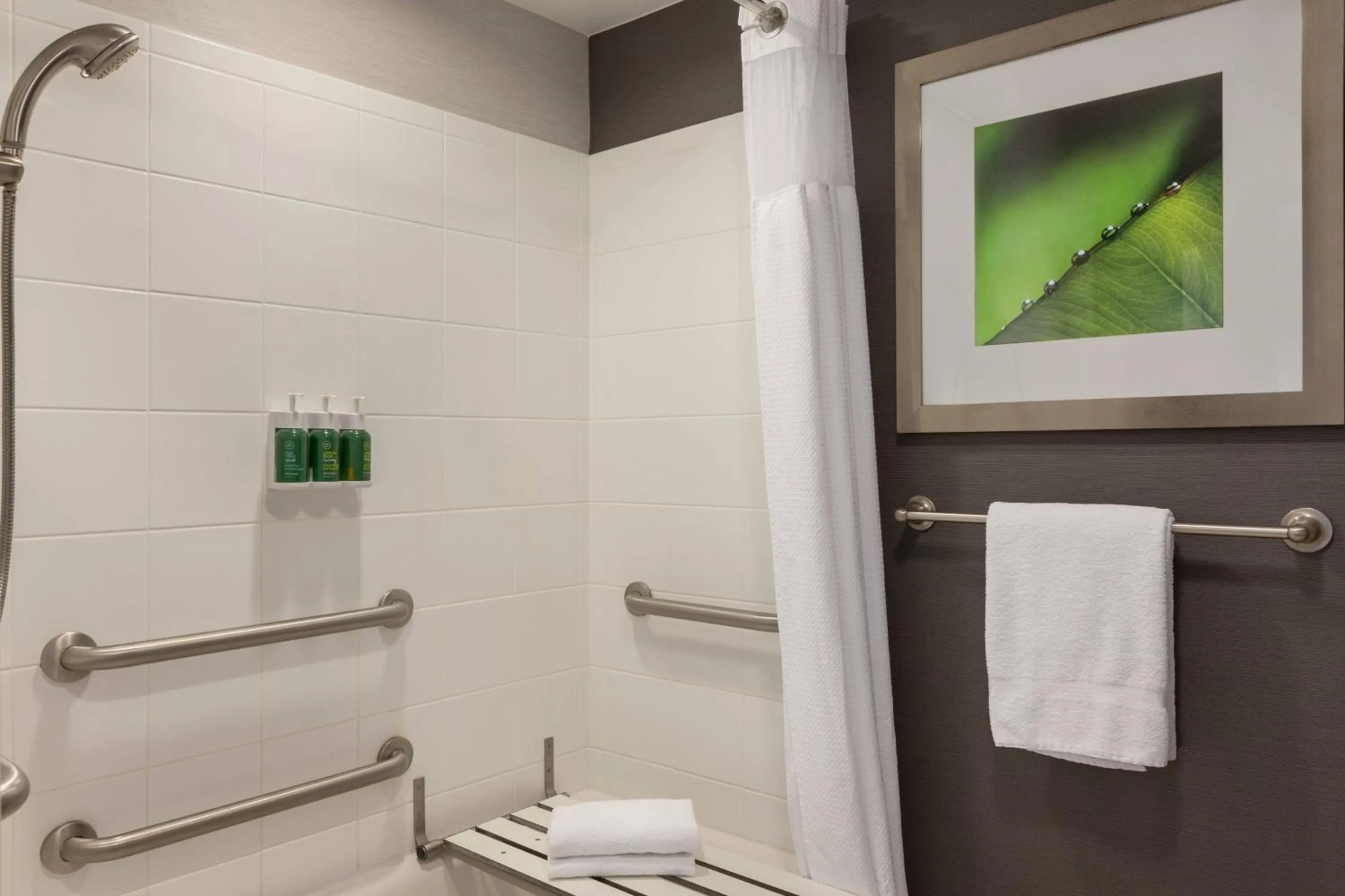 Bathroom in Courtyard Greenville