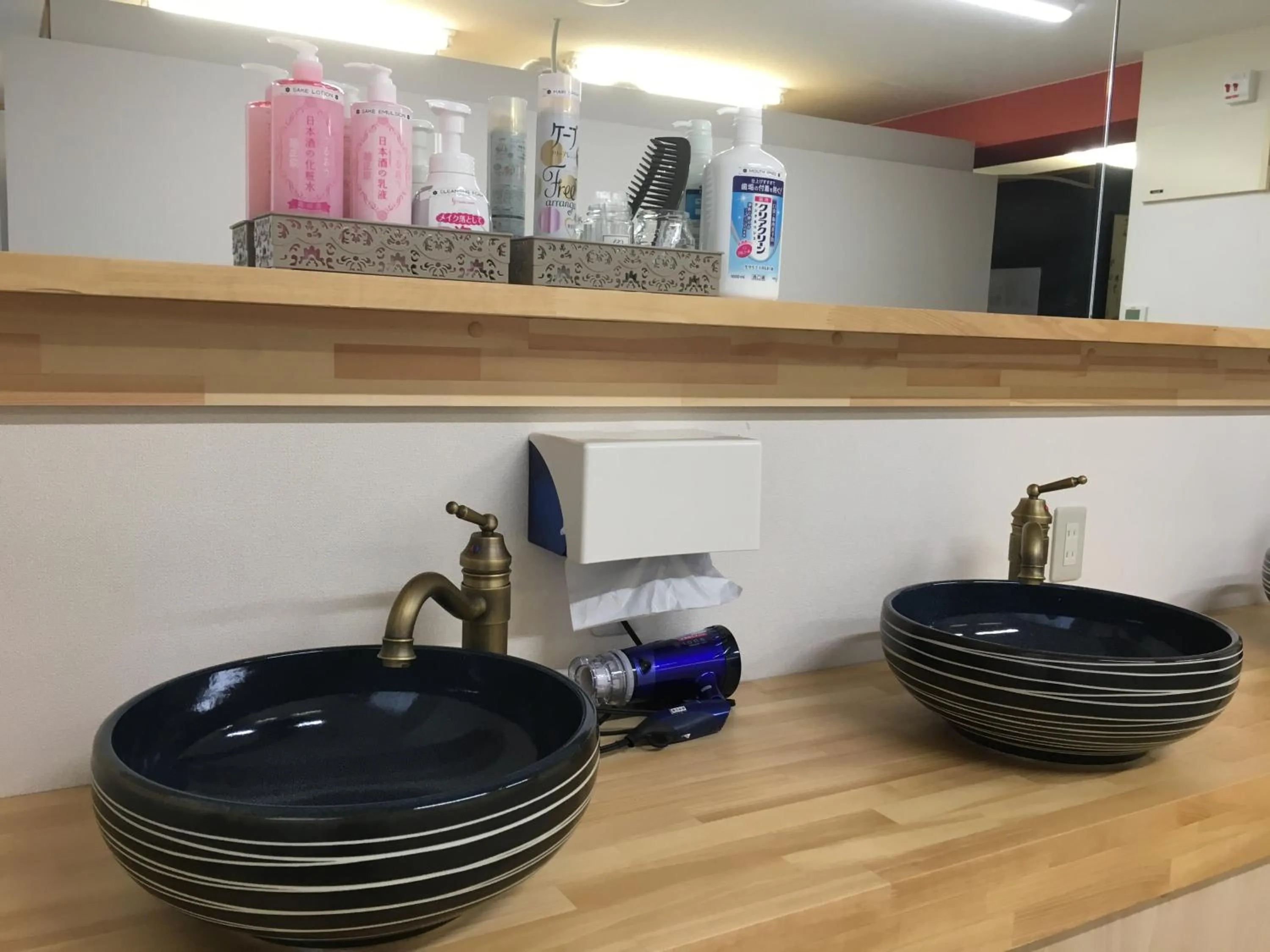 Area and facilities in Hostel Mallika