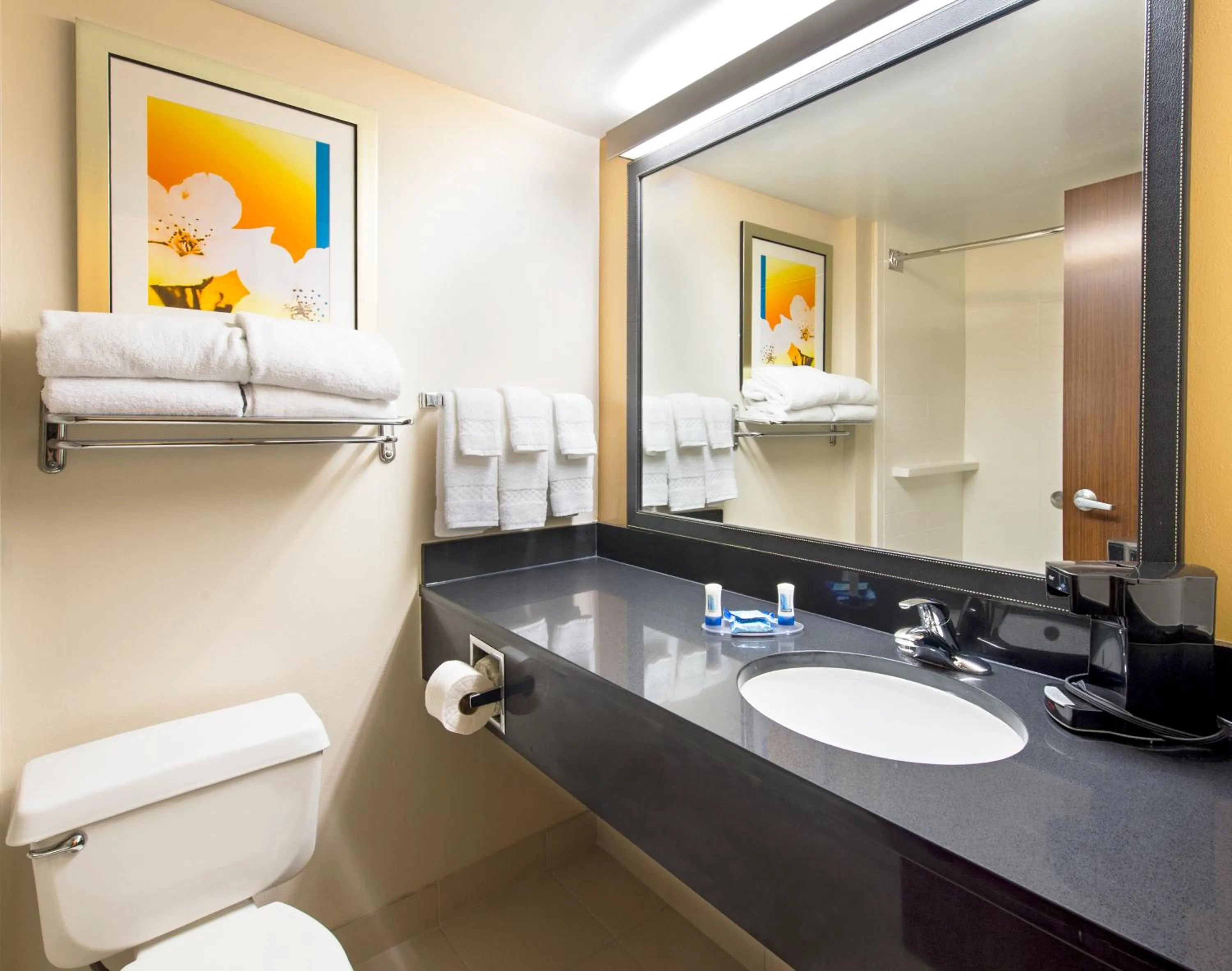 Bathroom in Rodeway Inn